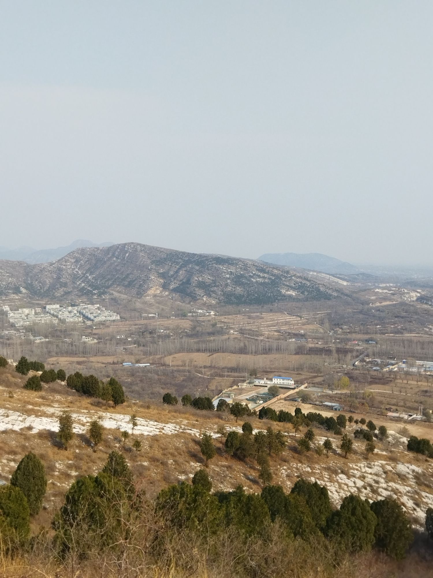 照塔旅行图片 2