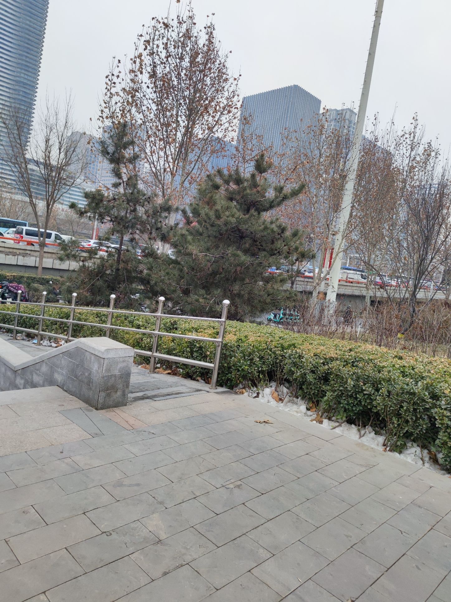 曙光园旅行图片 3
