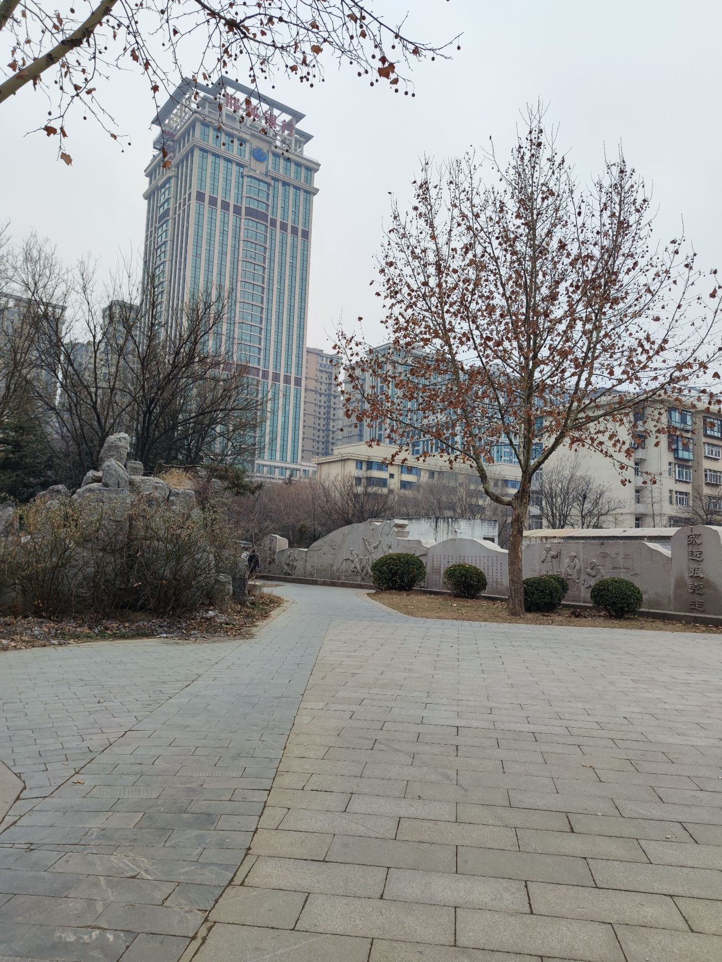 曙光园旅行图片 2