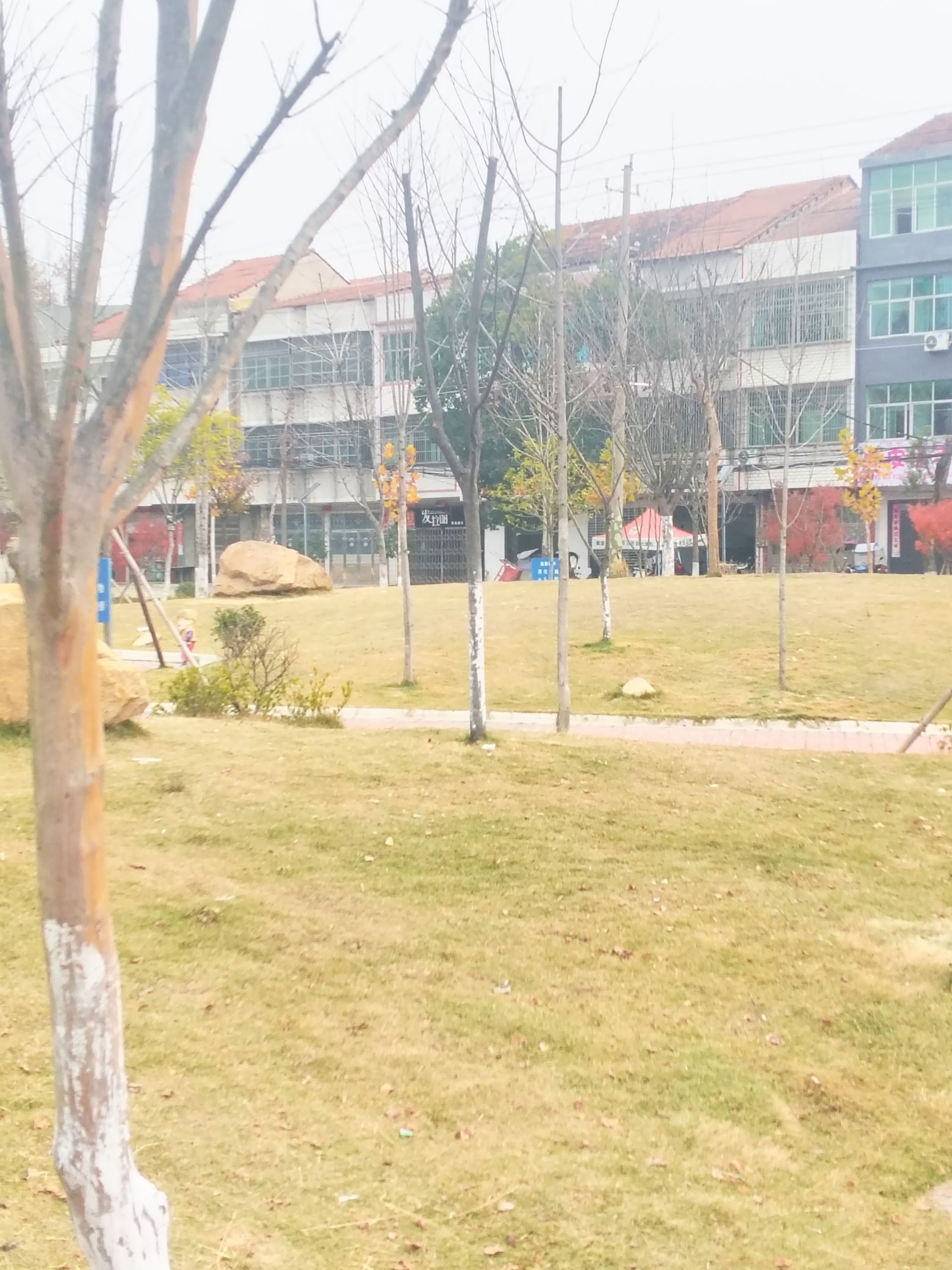 梅浦公园旅行图片 3