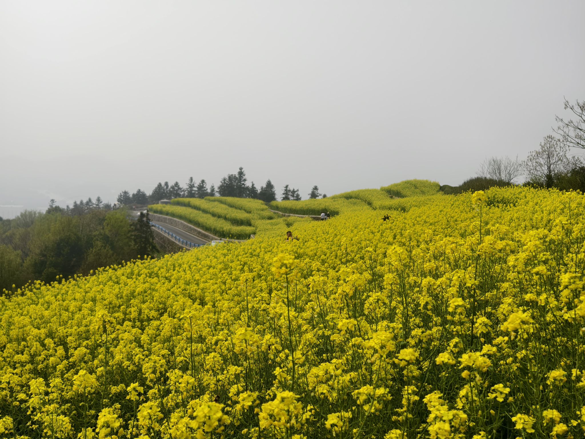 山里王观景台旅行图片 2