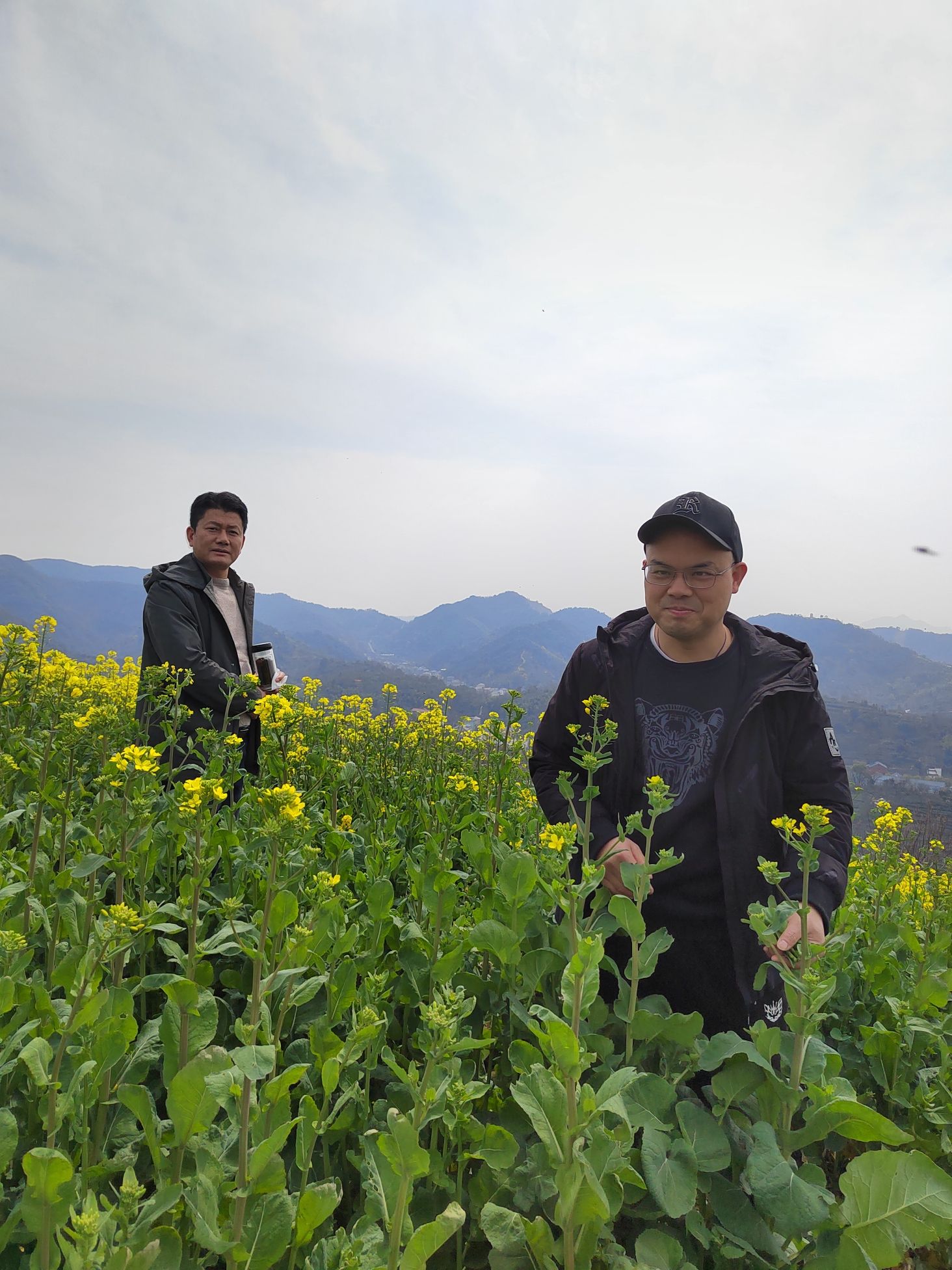 山里王观景台旅行图片 1