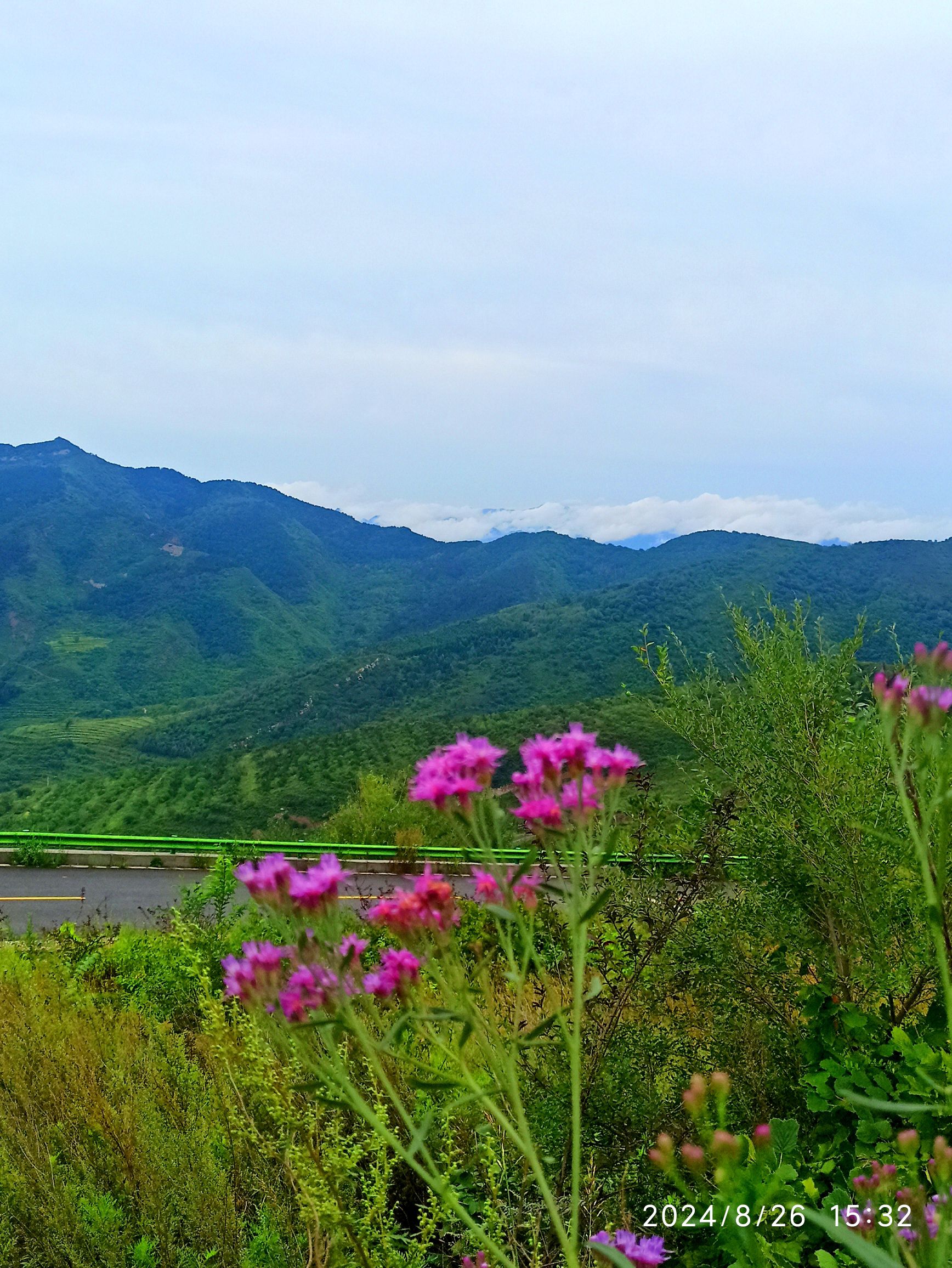 山顶观览区旅行图片 1