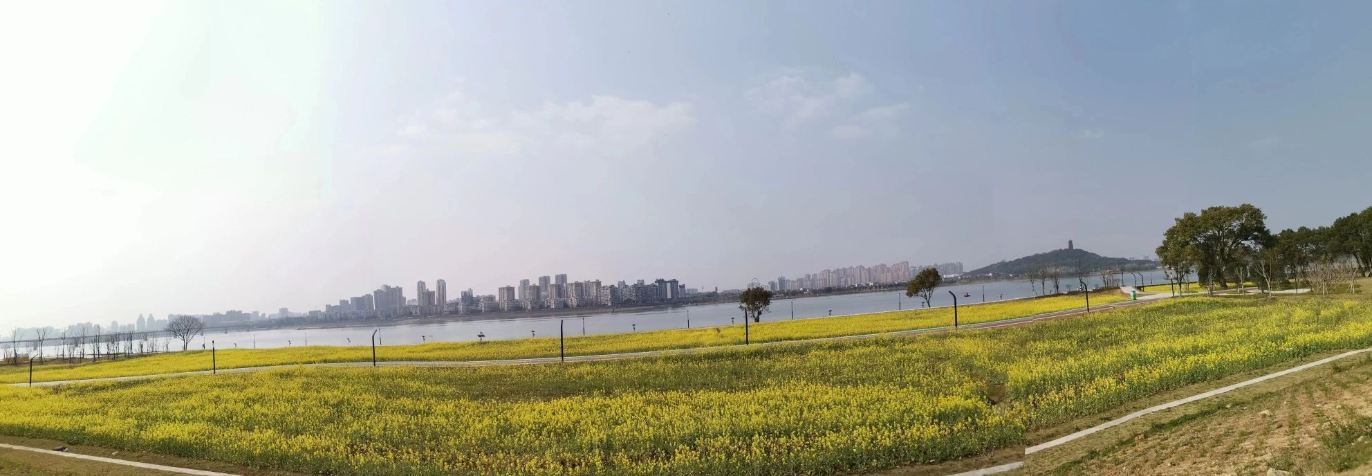 青原区人才公园旅行图片 1