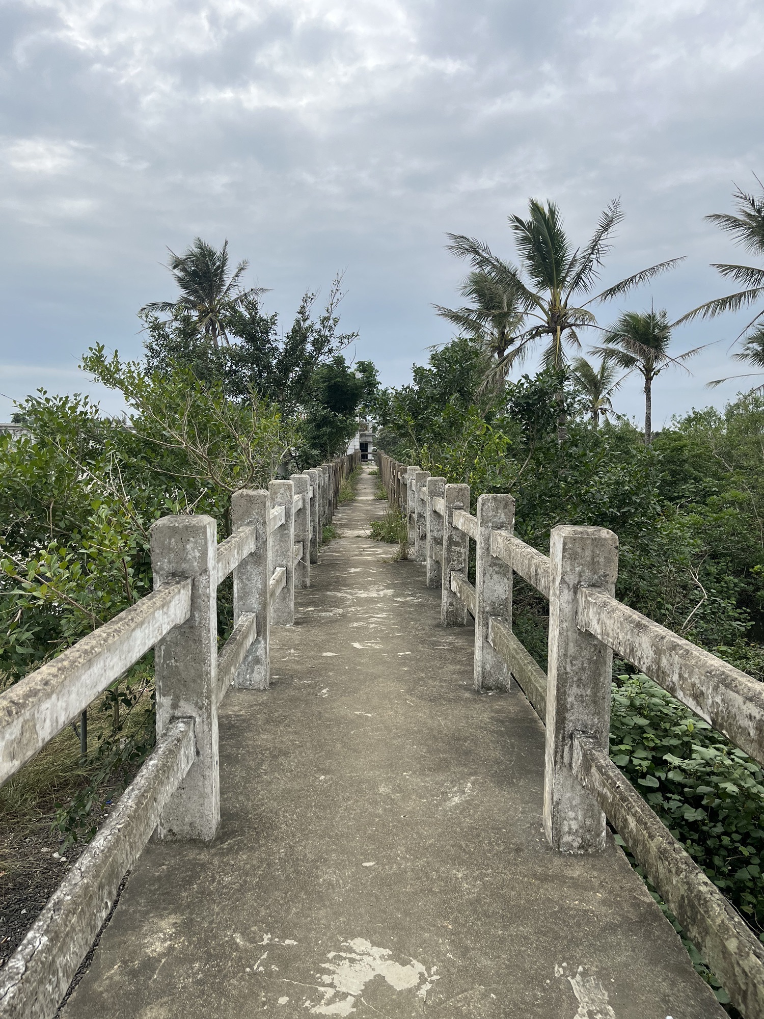 三江湾大坝旅行图片 2