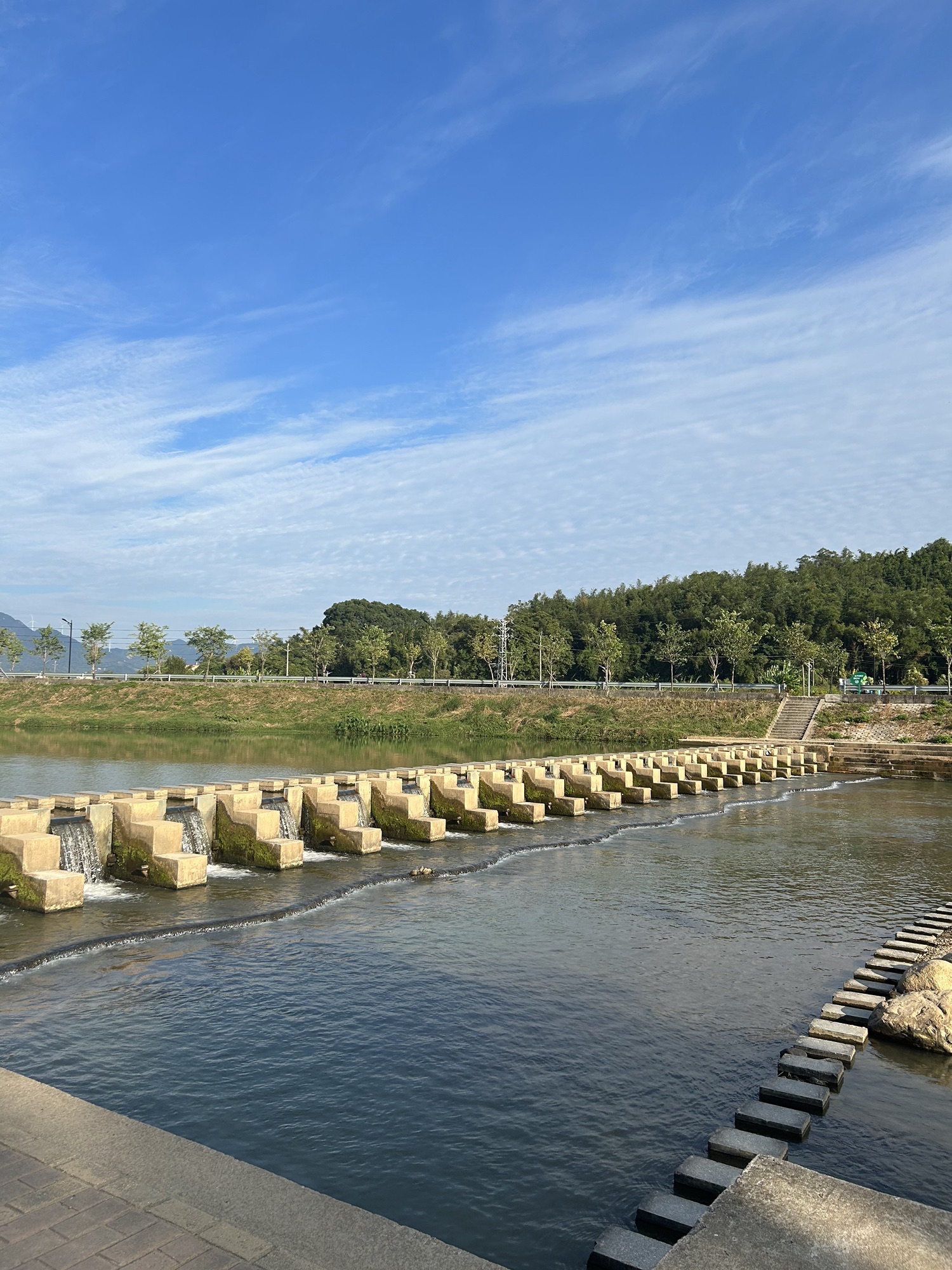 断桥花堤滨水公园旅行图片 1