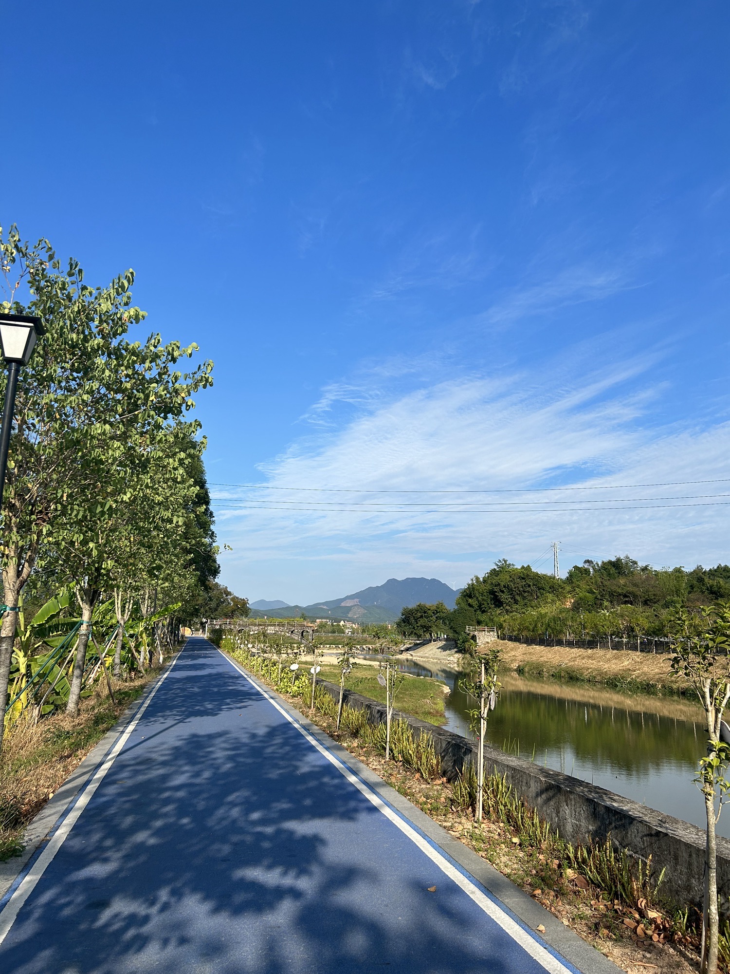 断桥花堤滨水公园旅行图片 3