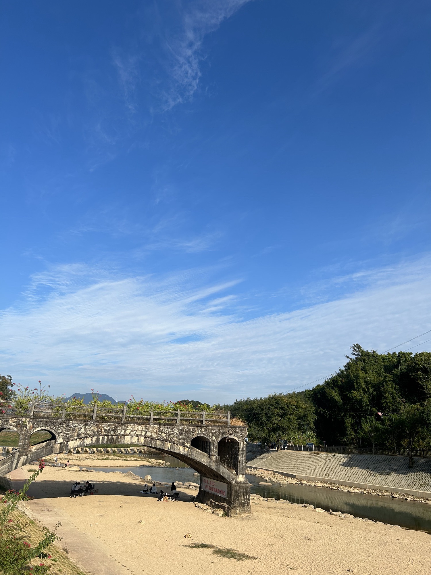 断桥花堤滨水公园旅行图片 2