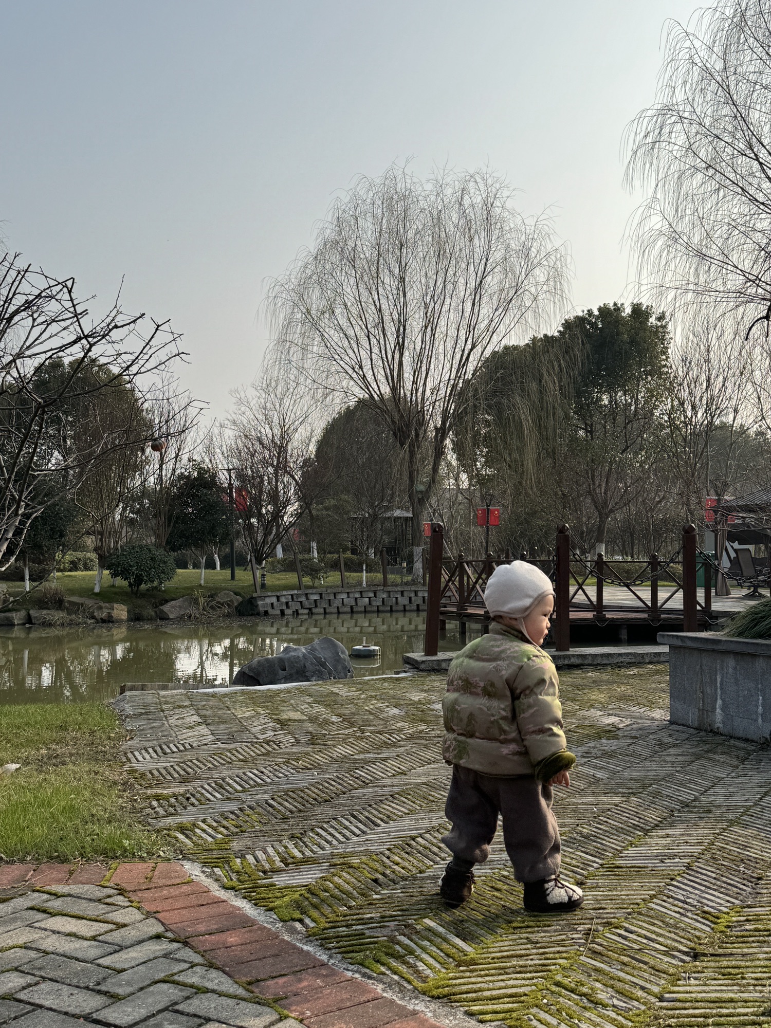 虞园旅行图片 2
