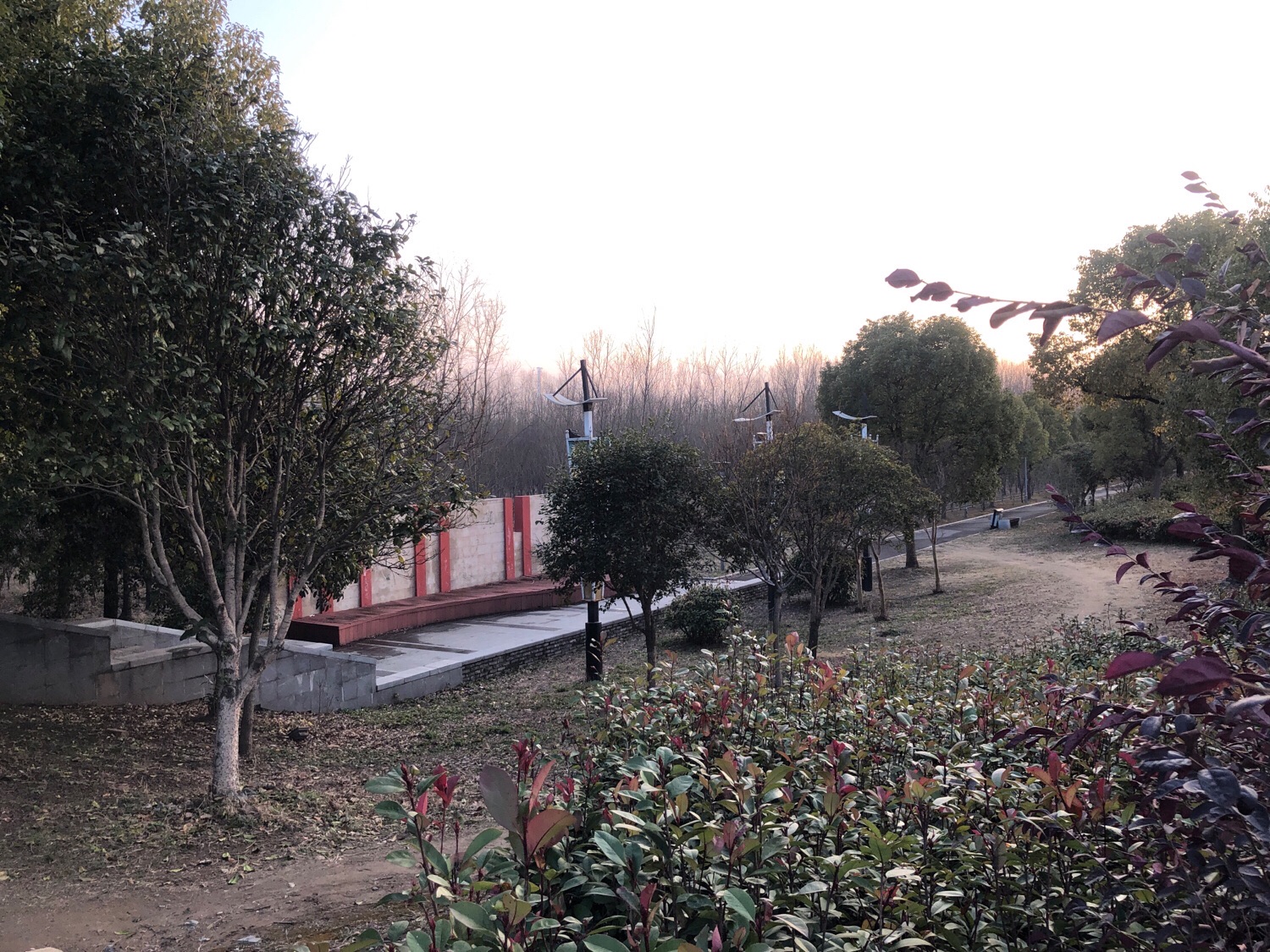 焦土港河亲水平台步道旅行图片 3