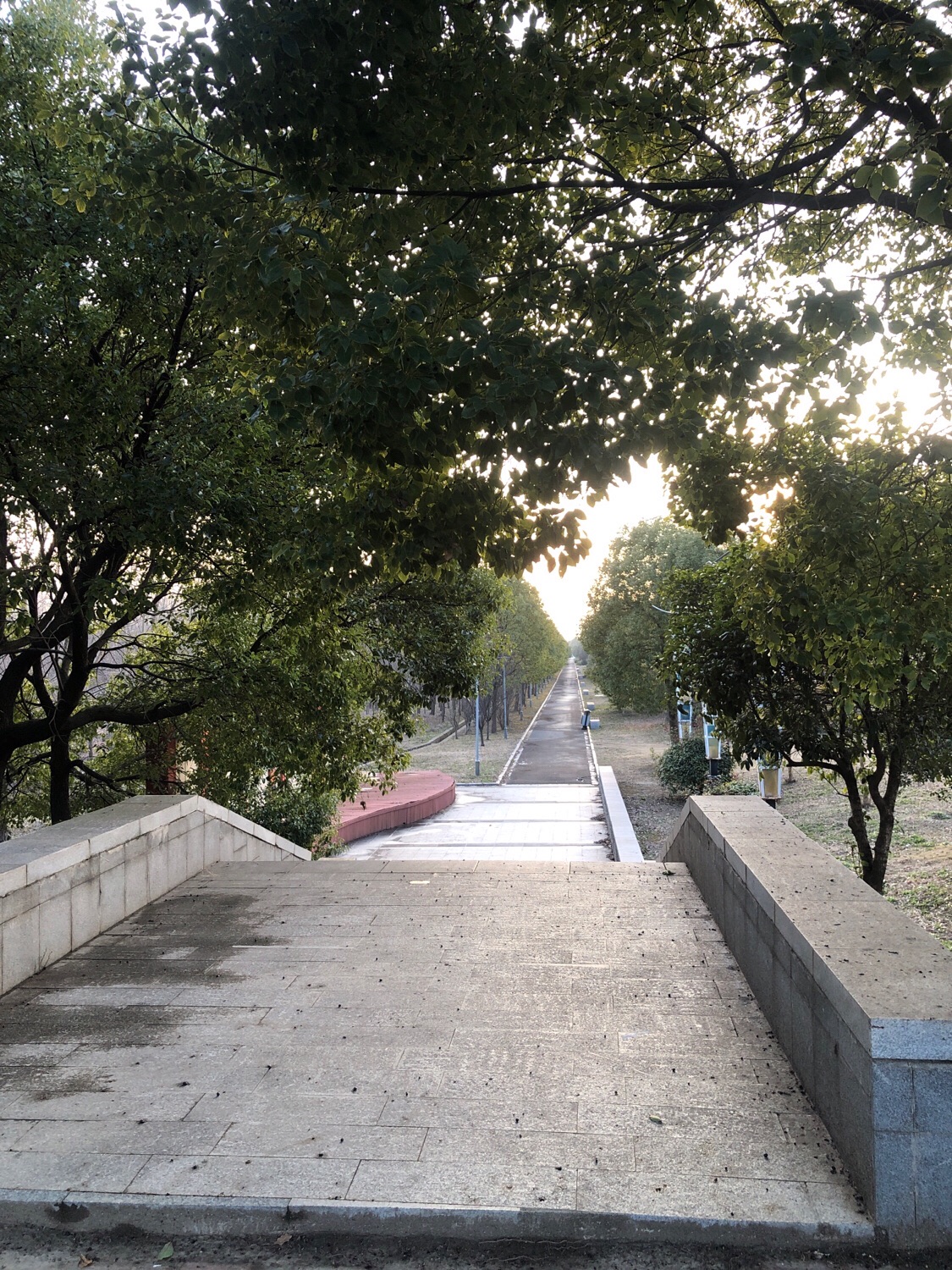 焦土港河亲水平台步道旅行图片 1