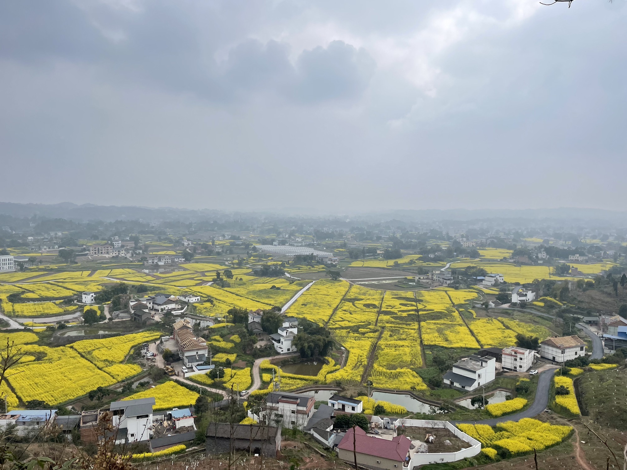 百和镇东岳村观景平台旅行图片 1