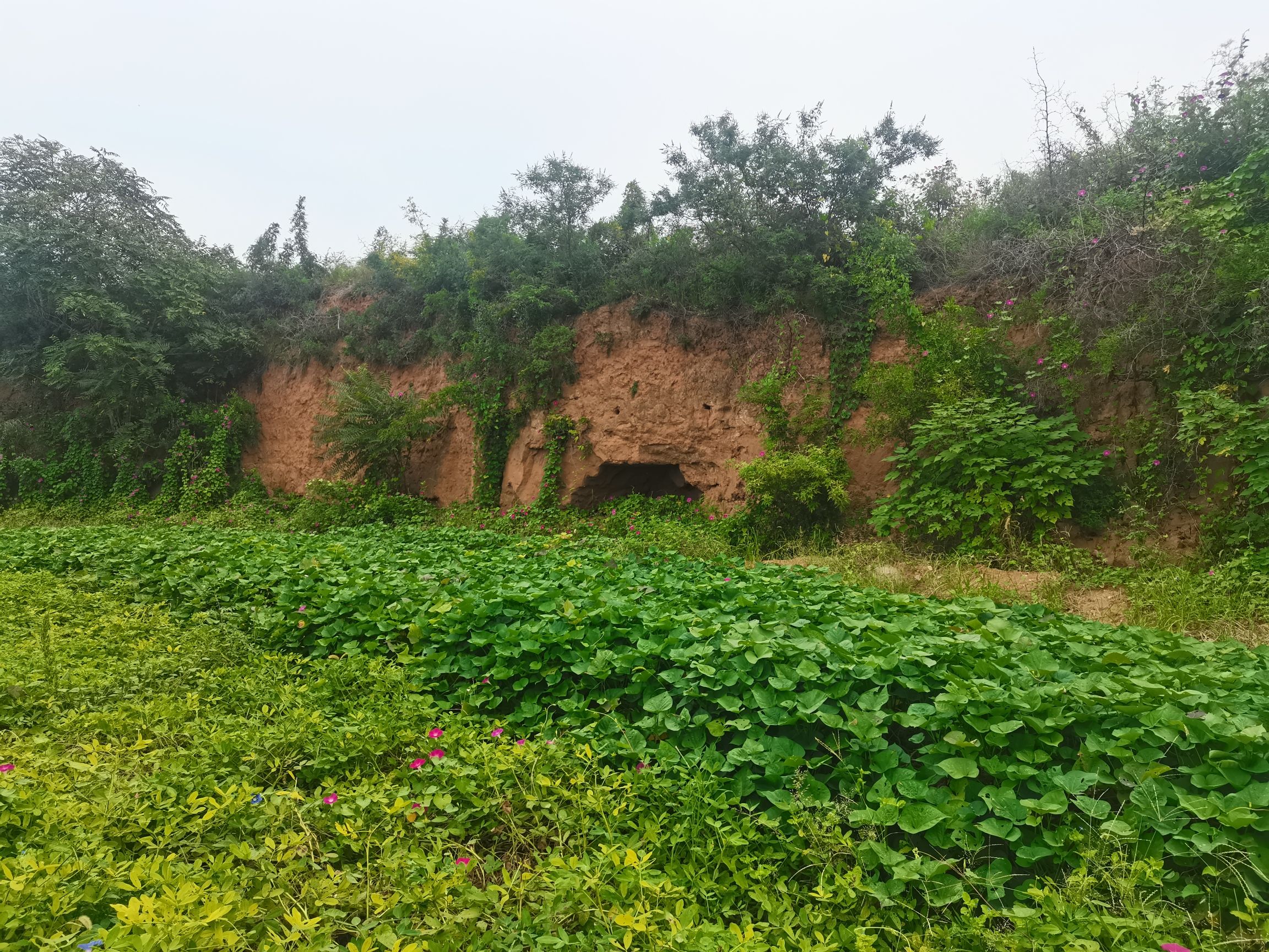 鹿城岗城址旅行图片 2