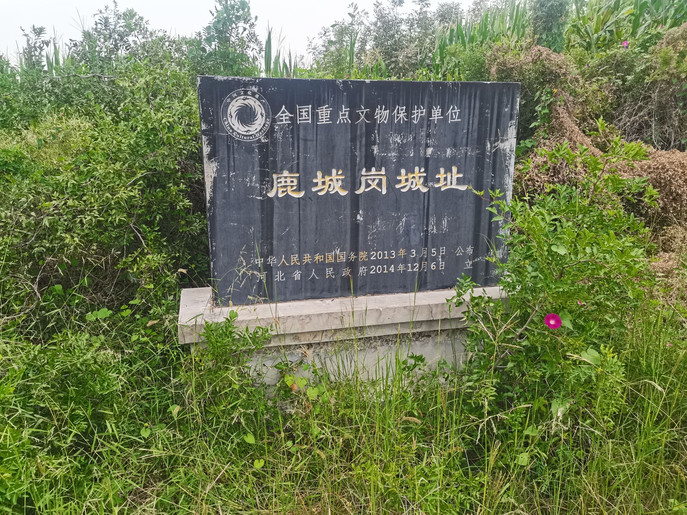 鹿城岗城址旅行图片 1