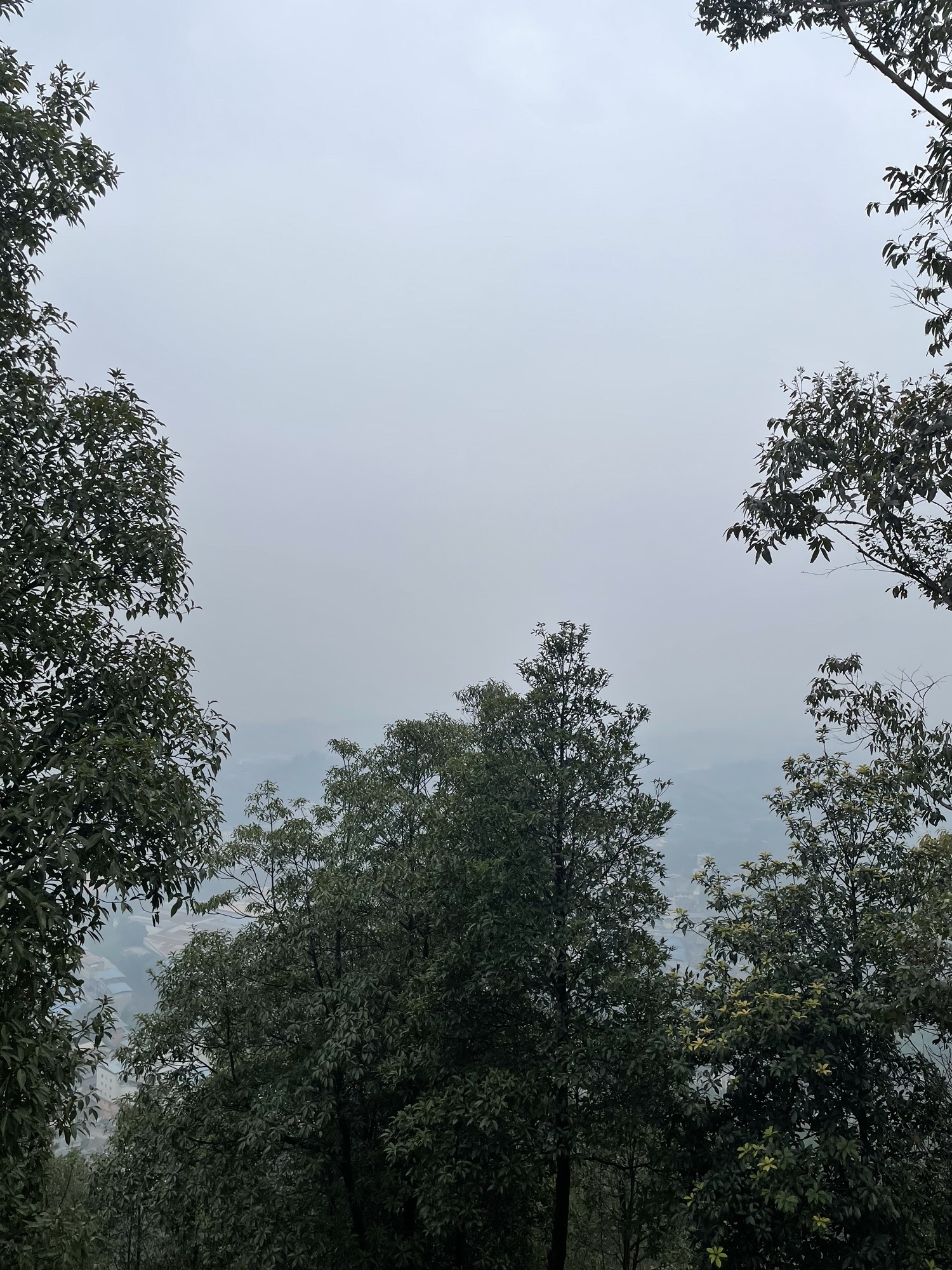 和尚山旅行图片 3