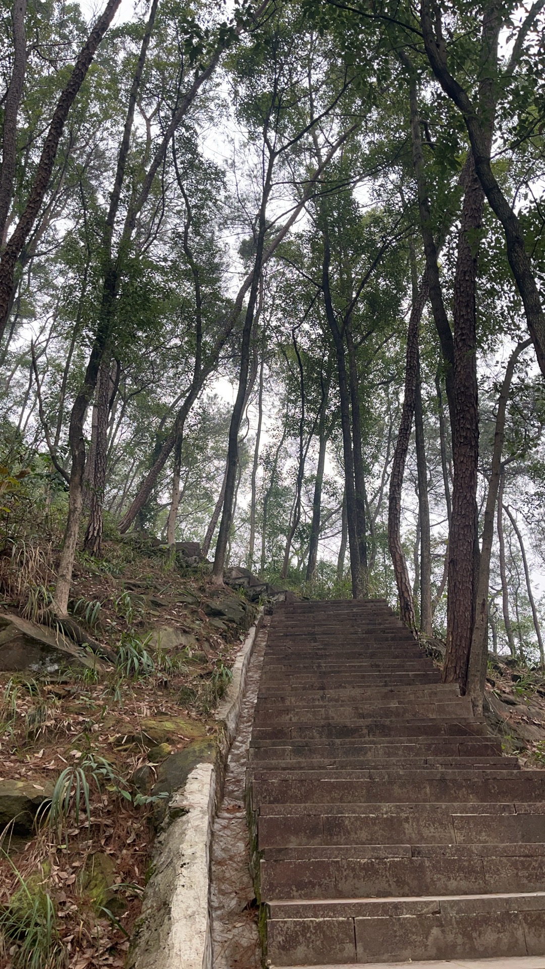 和尚山旅行图片 1