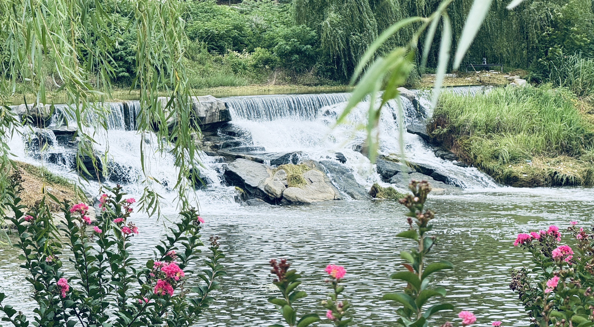 白鹭滩湿地公园