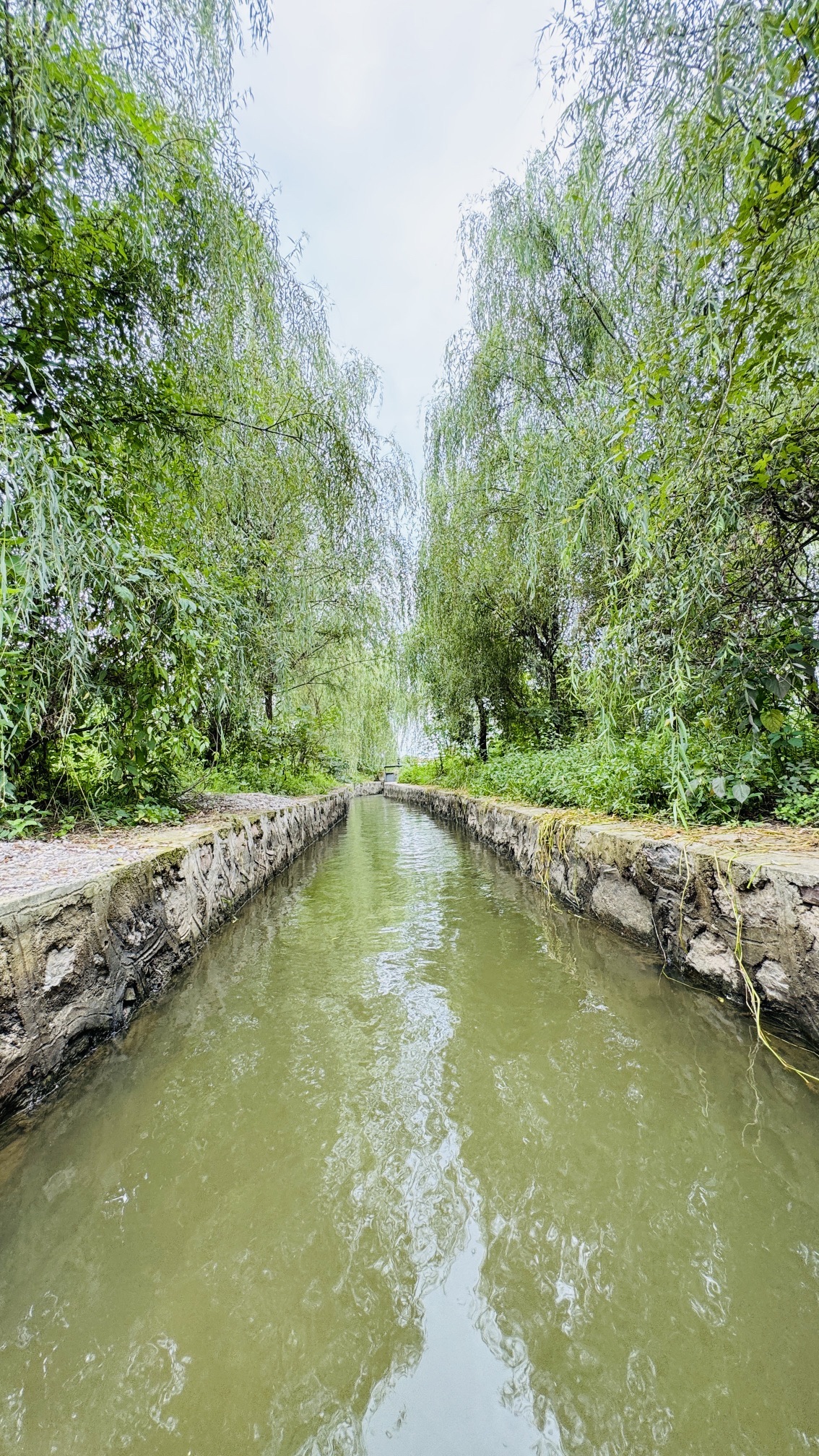 白鹭滩湿地公园