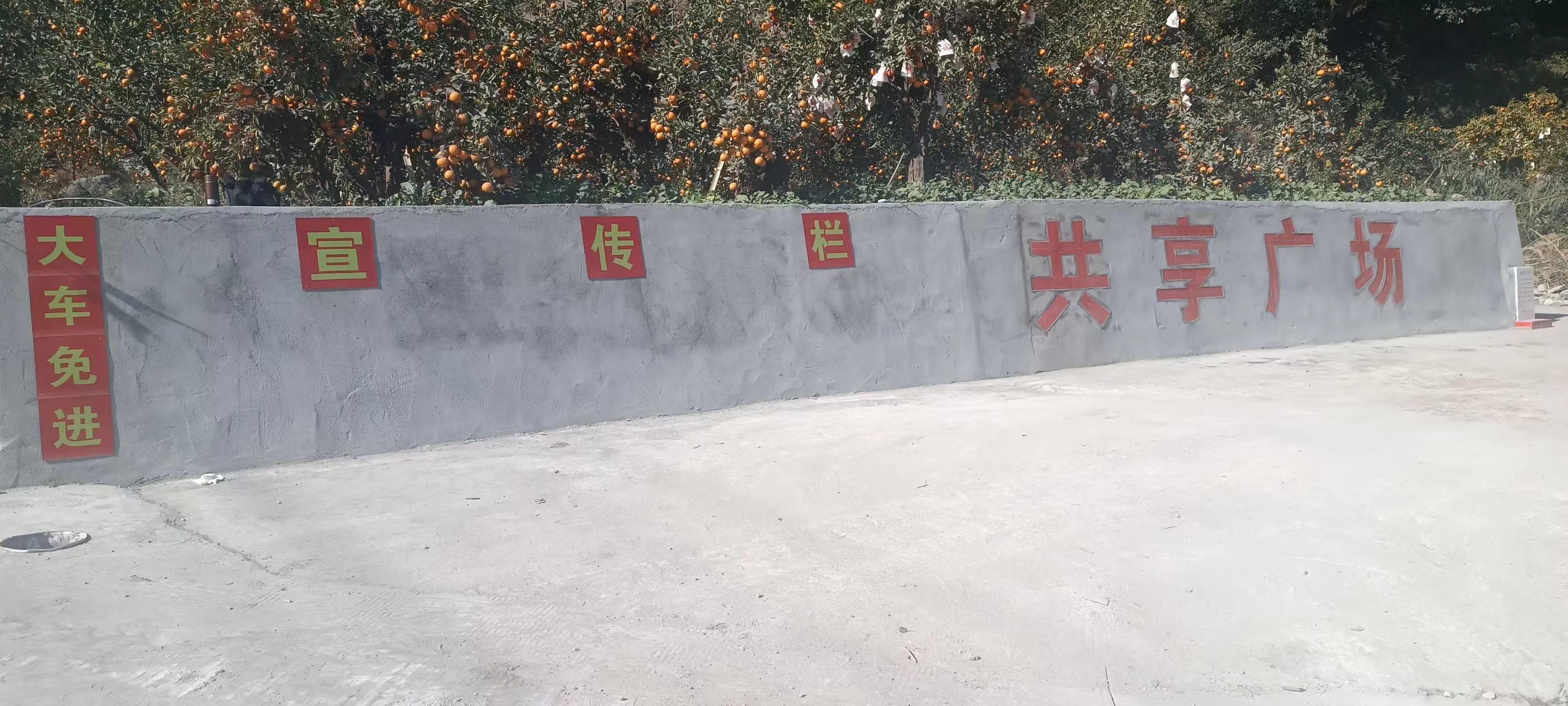 共享广场旅行图片 1