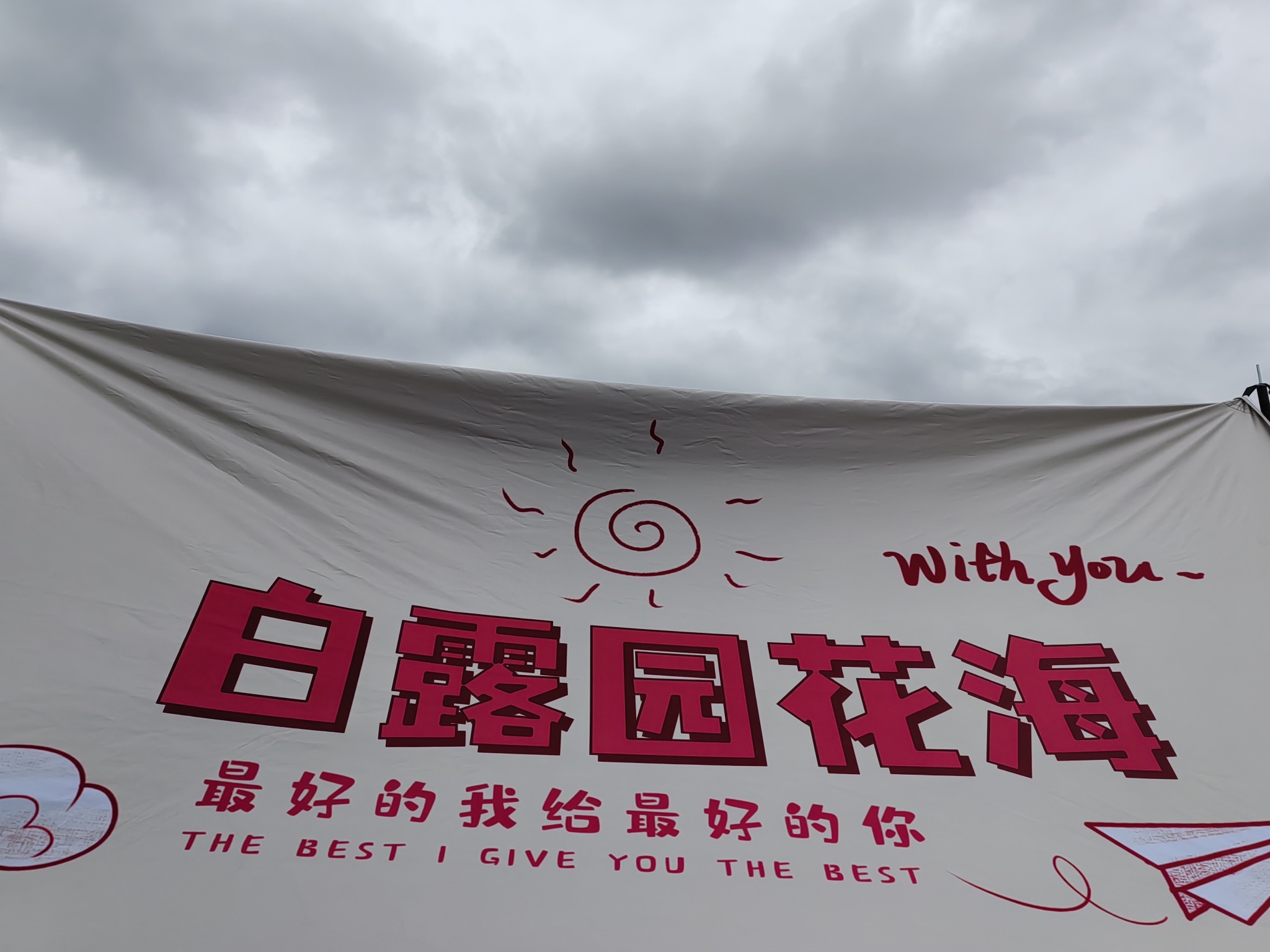 白露园花海旅行图片 2
