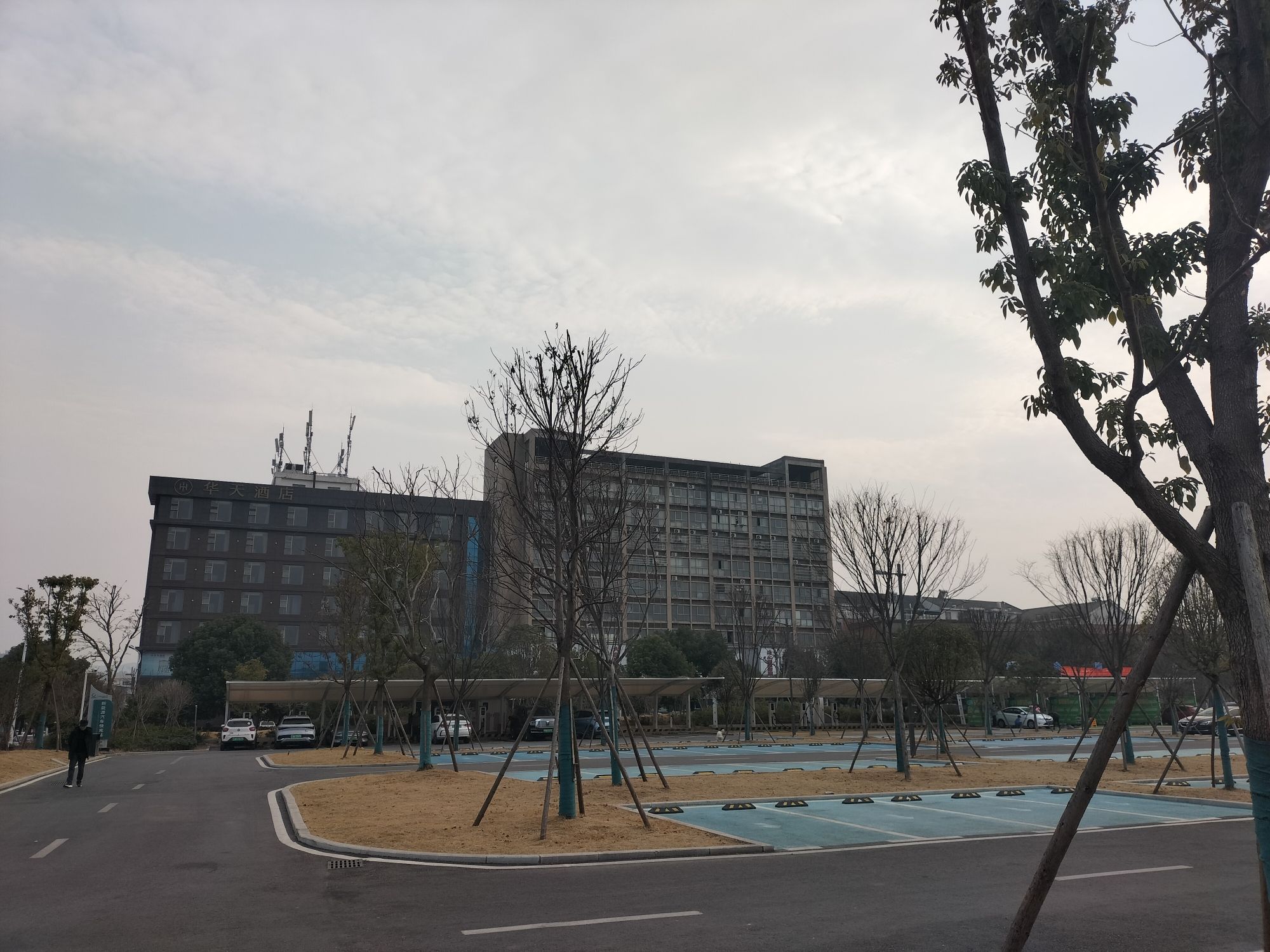 黄湾公园旅行图片 2