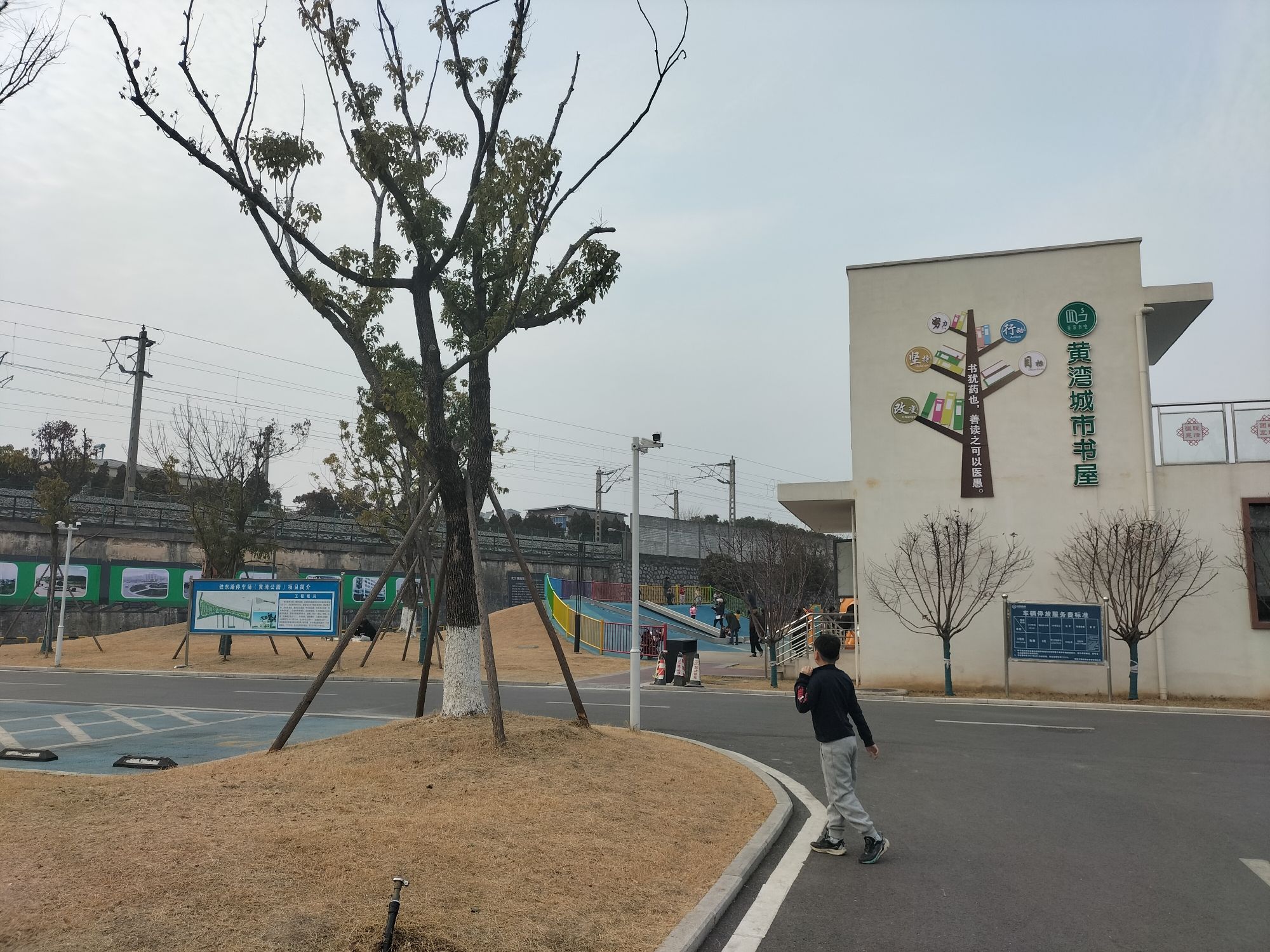 黄湾公园旅行图片 1