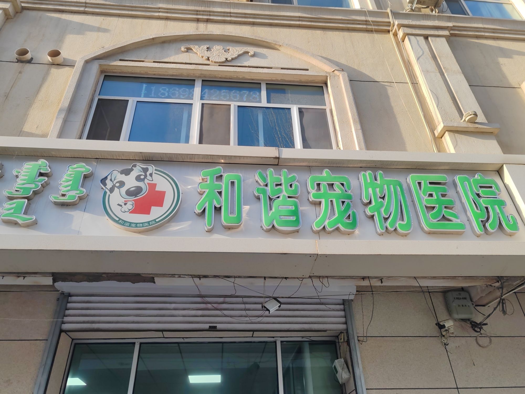 和谐宠物医院·犬猫专科·急重症诊疗中心 - 呼和浩特市新城区 - 医疗保健服务;动物医疗场所;宠物诊所 | 地址营业时间 | Amap