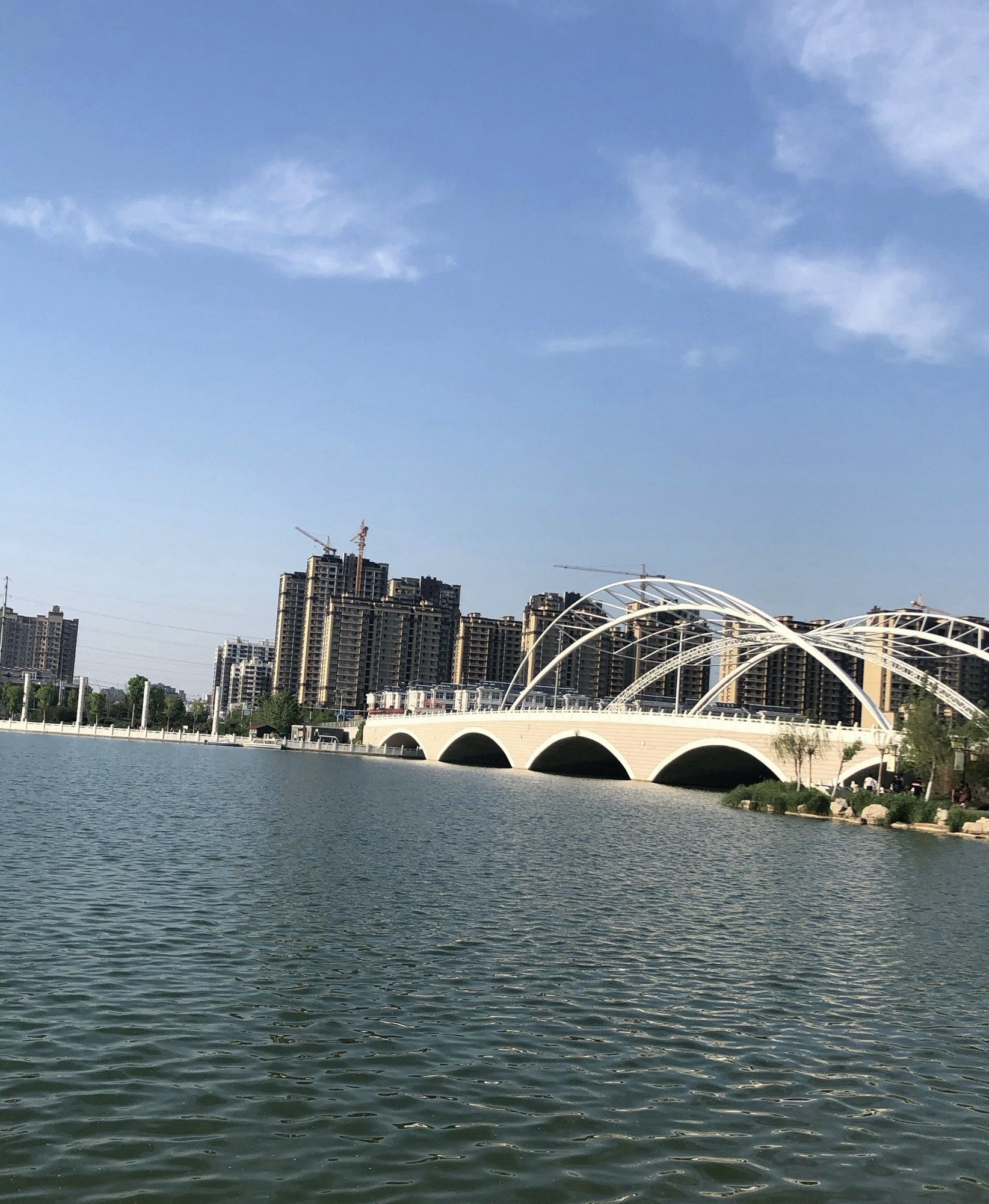 阳谷南湖旅行图片 2