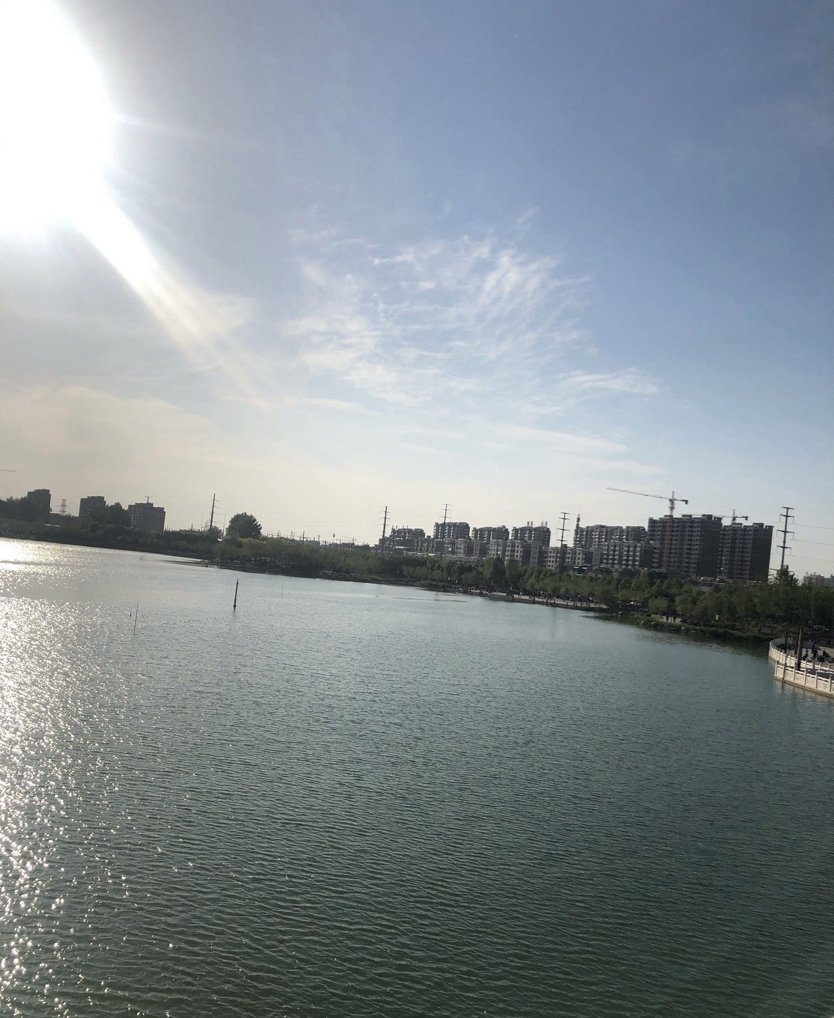 阳谷南湖旅行图片 3