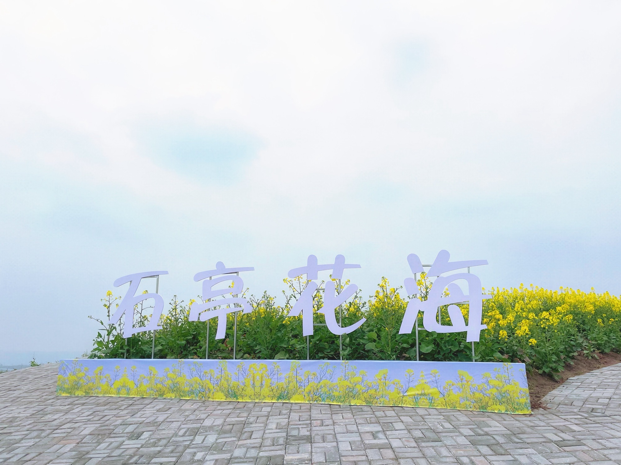 武胜县三溪镇石亭花海旅行图片 1