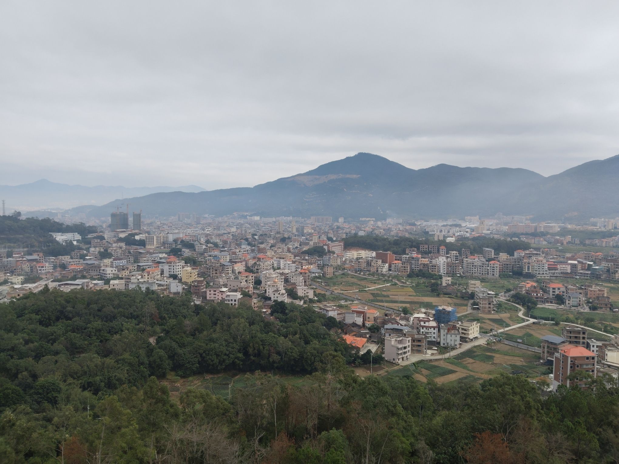 大新村观景台旅行图片 2