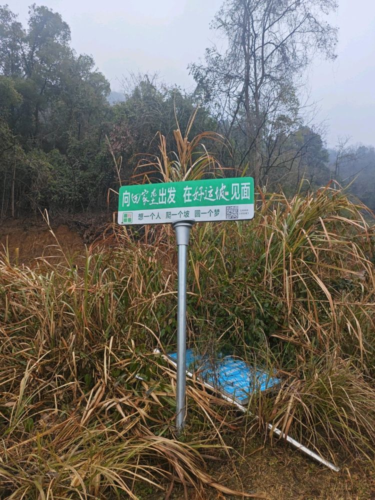好运坡旅行图片 3