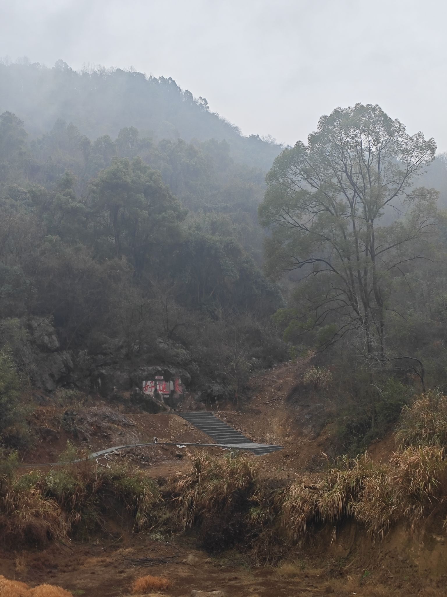好运坡旅行图片 2