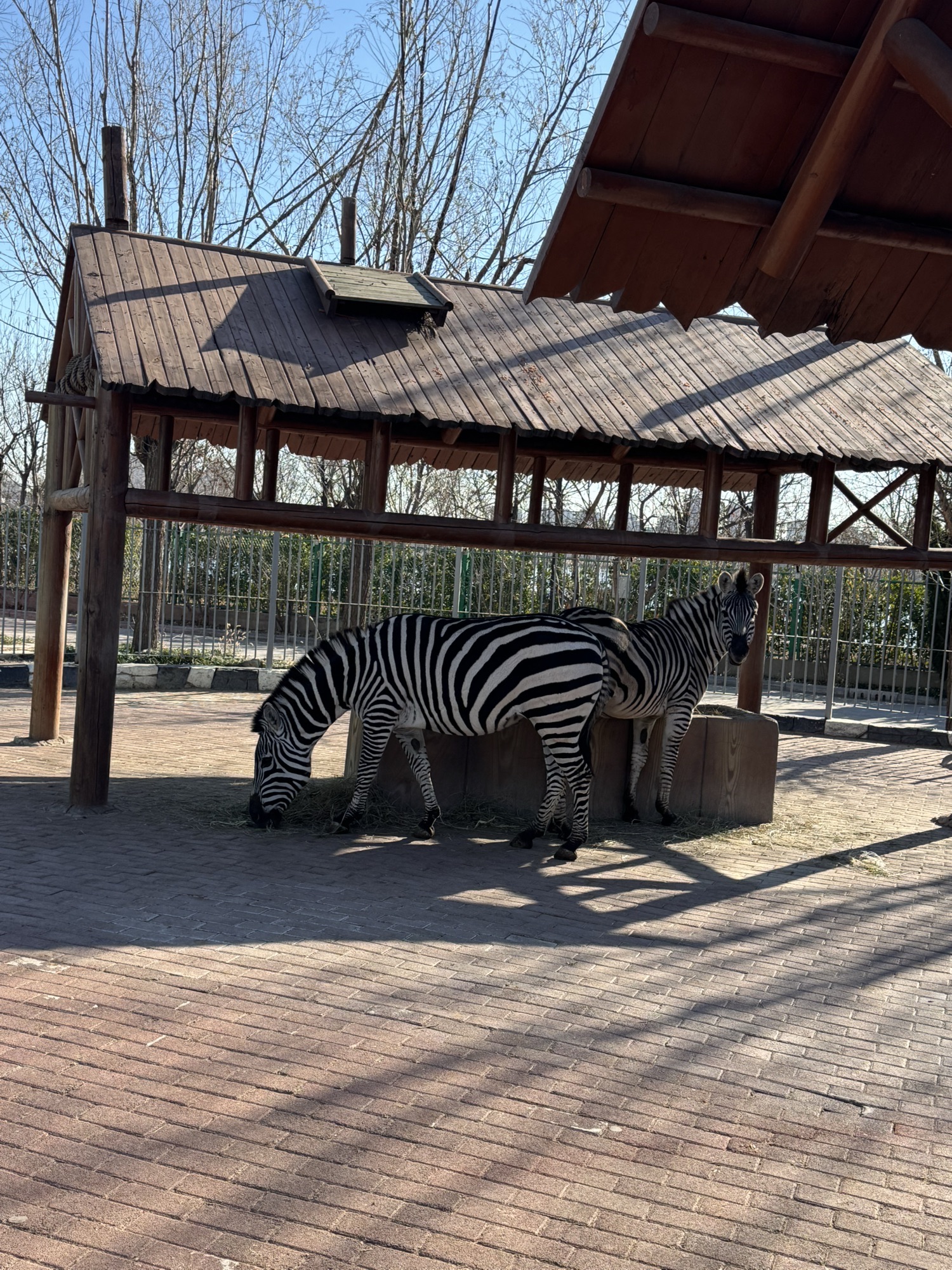 天津野生动物园旅行图片 3