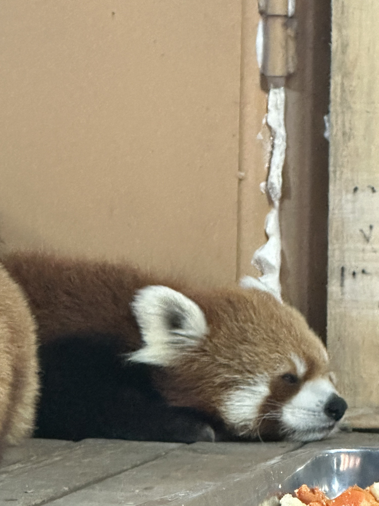 天津野生动物园旅行图片 2