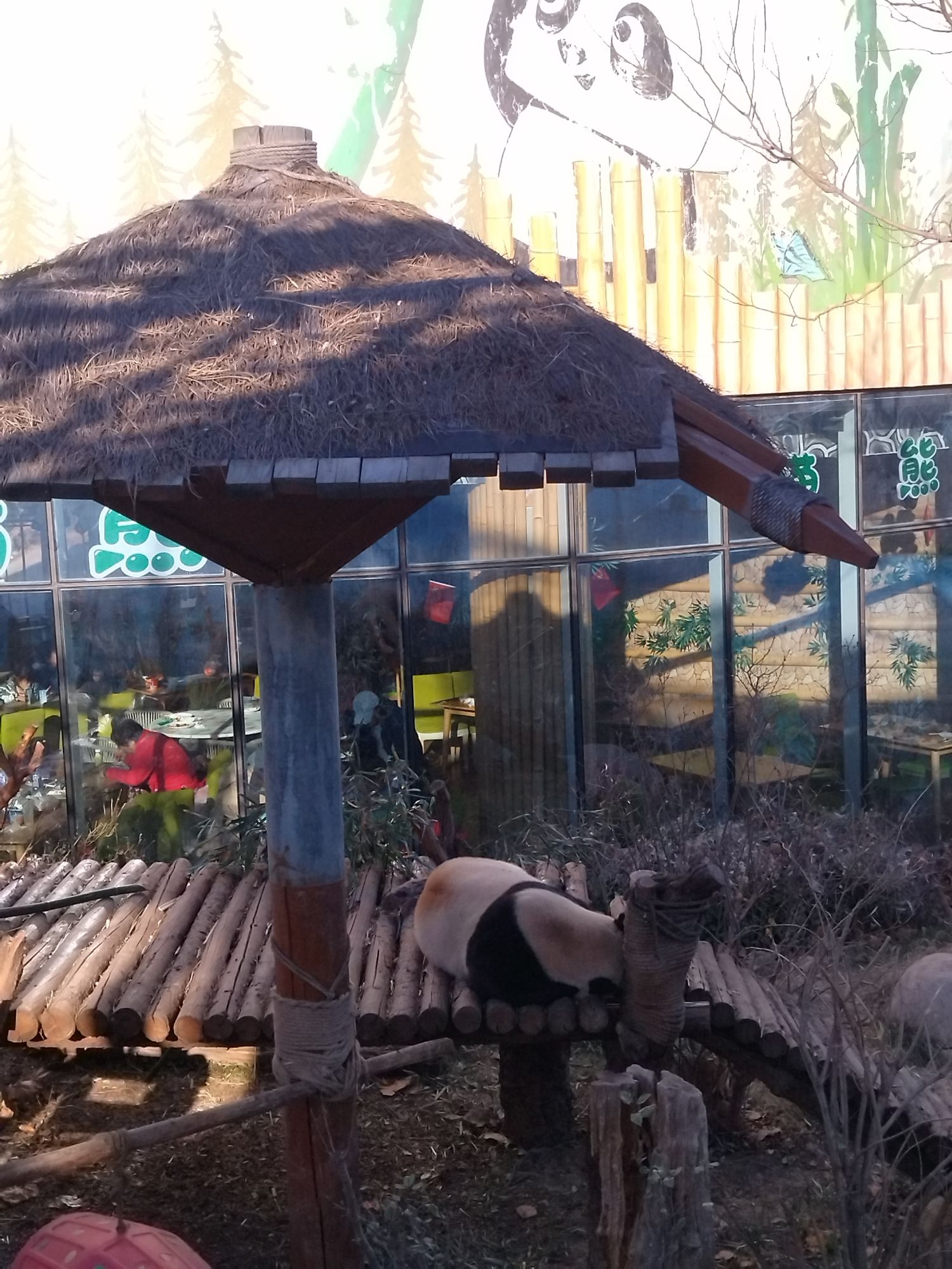 天津野生动物园旅行图片 1