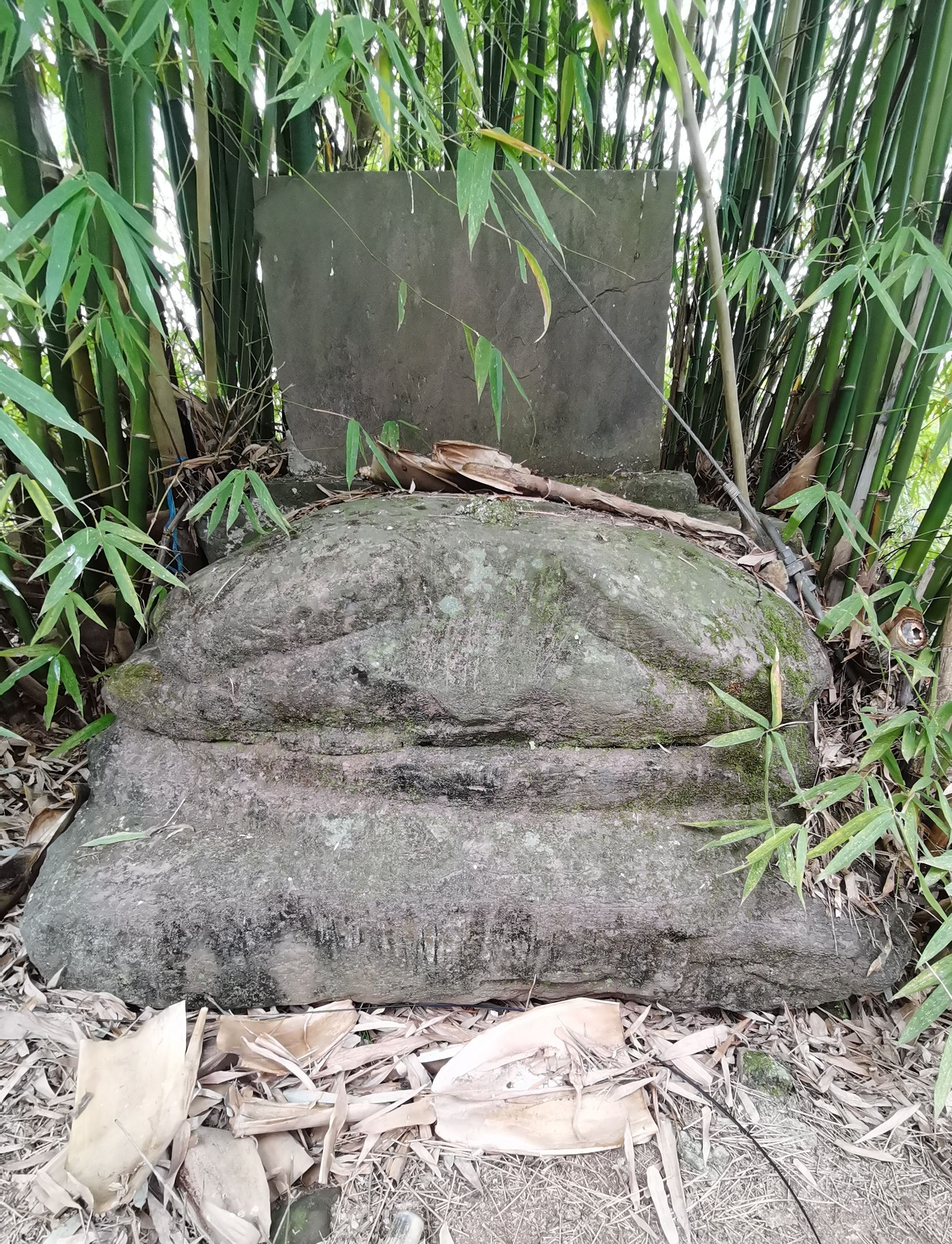 蓬池故城遗址旅行图片 2