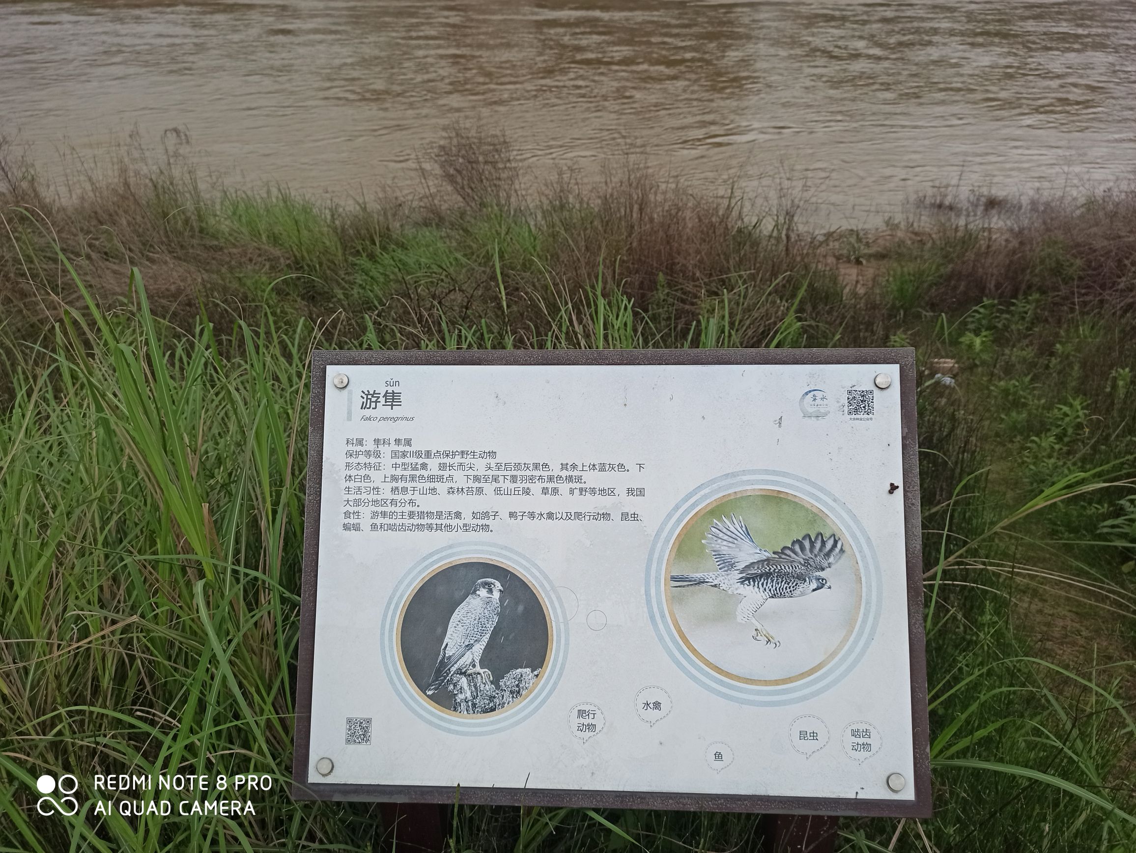 大余章水国家湿地公园旅行图片 2