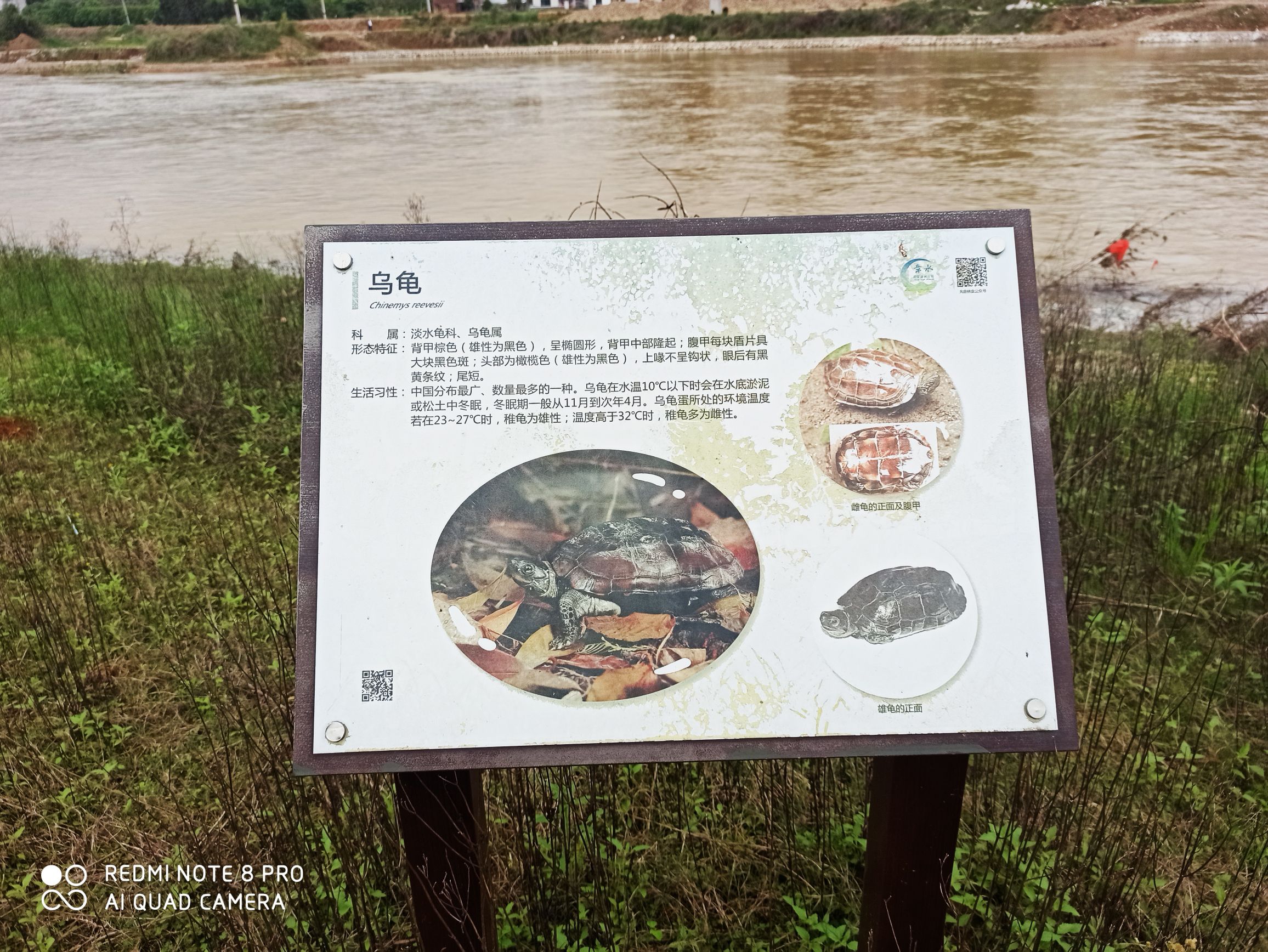 大余章水国家湿地公园旅行图片 3