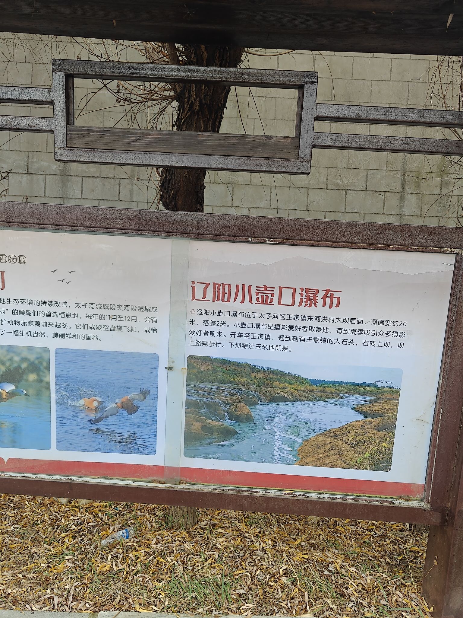 大襄山旅行图片 2