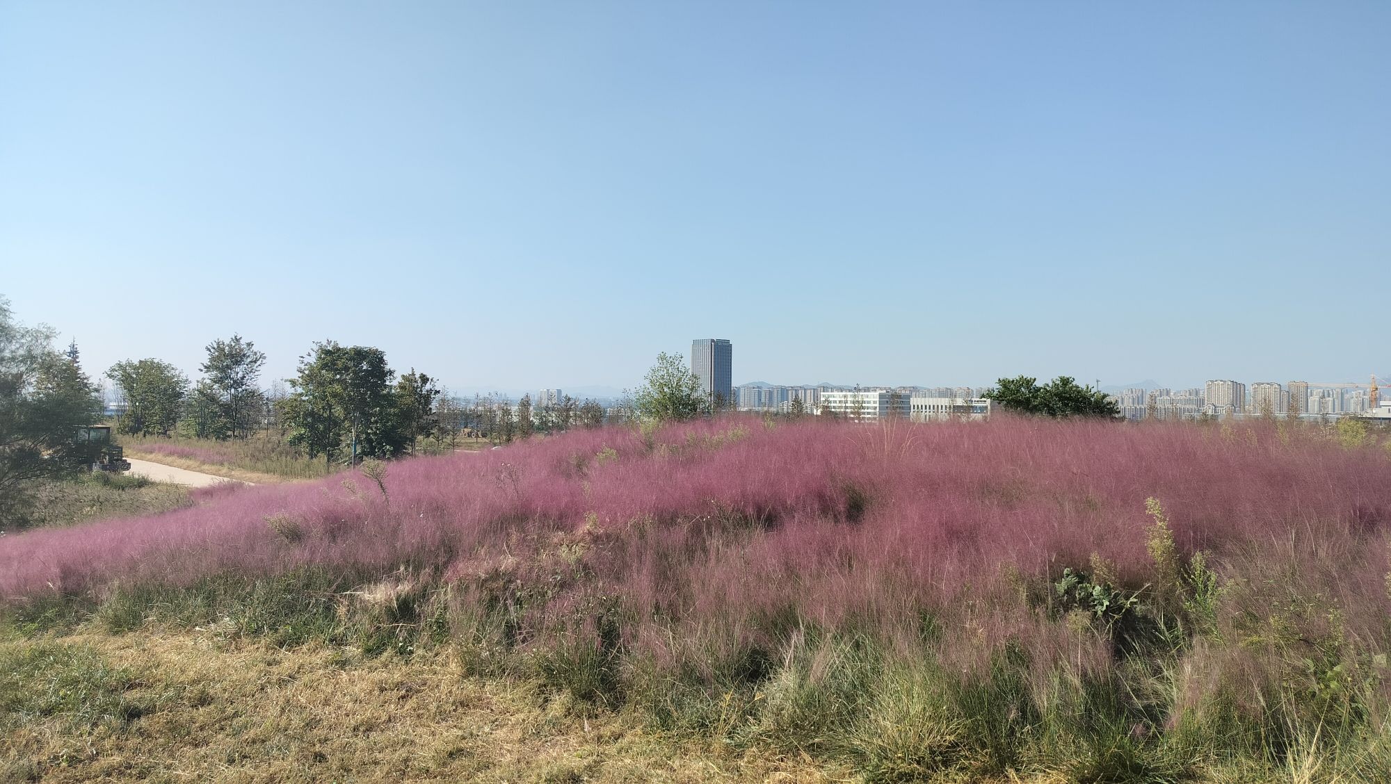 奎山生态公园旅行图片 3