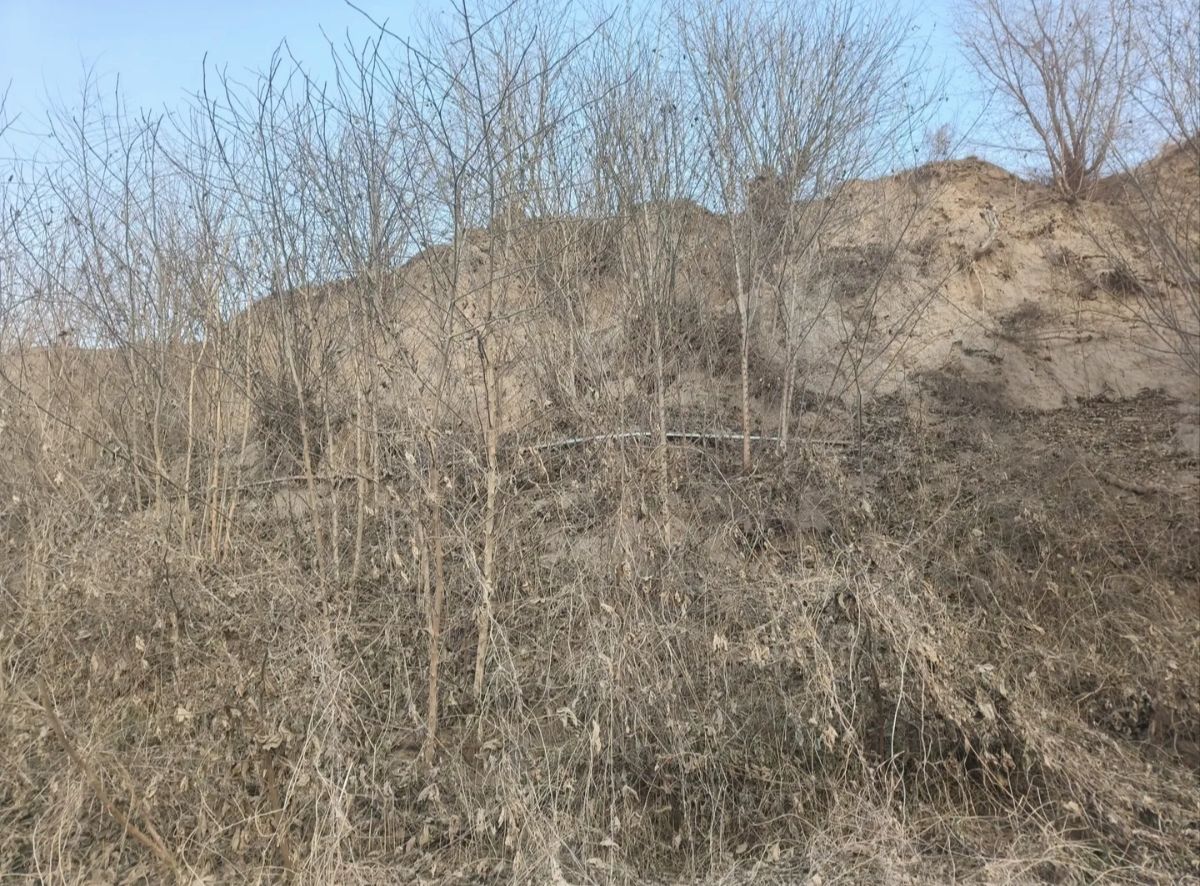 涿州古城墙旅行图片 2