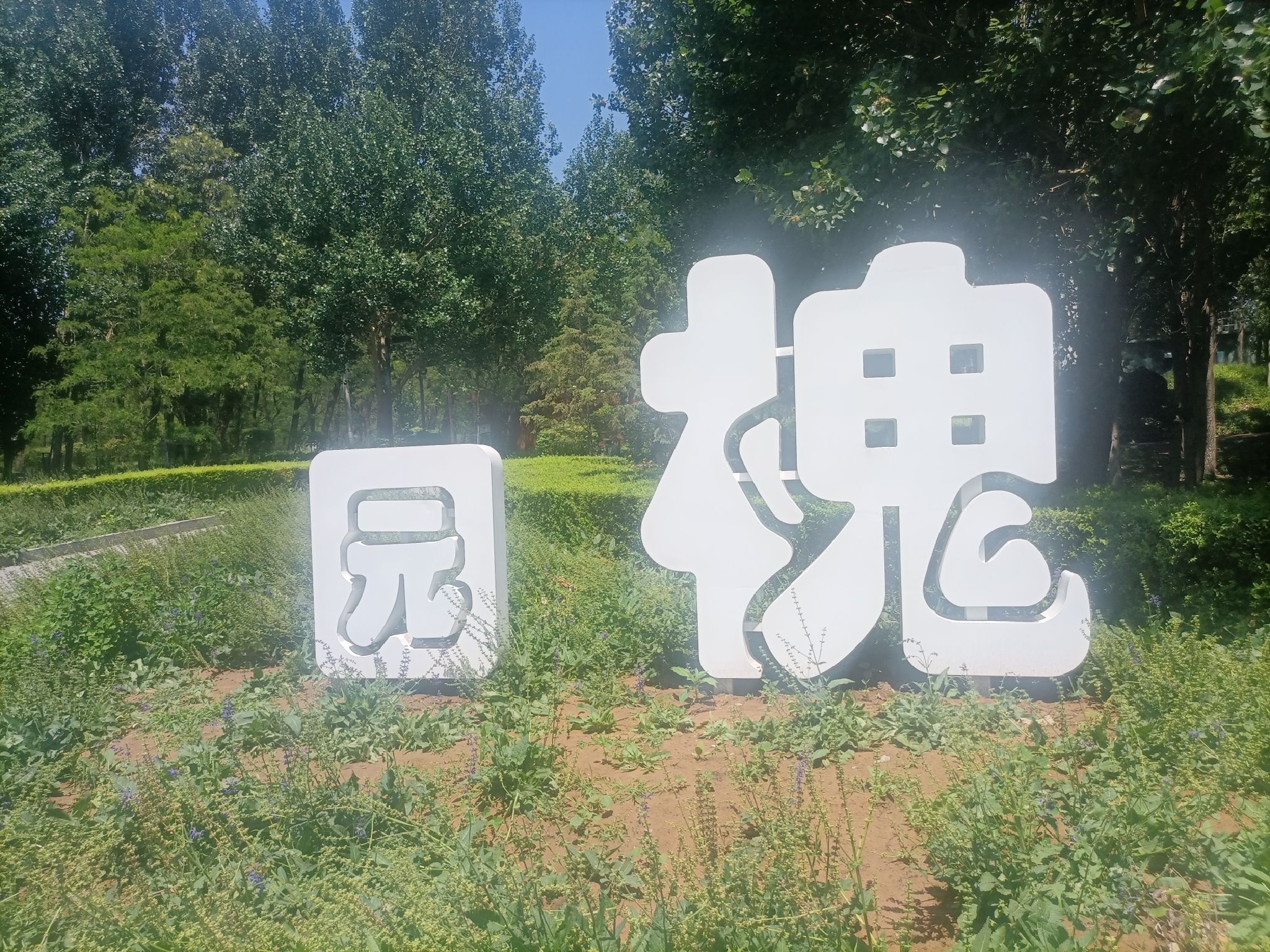 槐园旅行图片 1