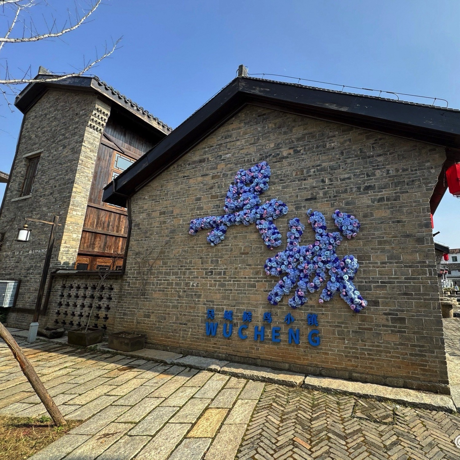 鄱阳湖吴城候鸟小镇景区旅行图片 3