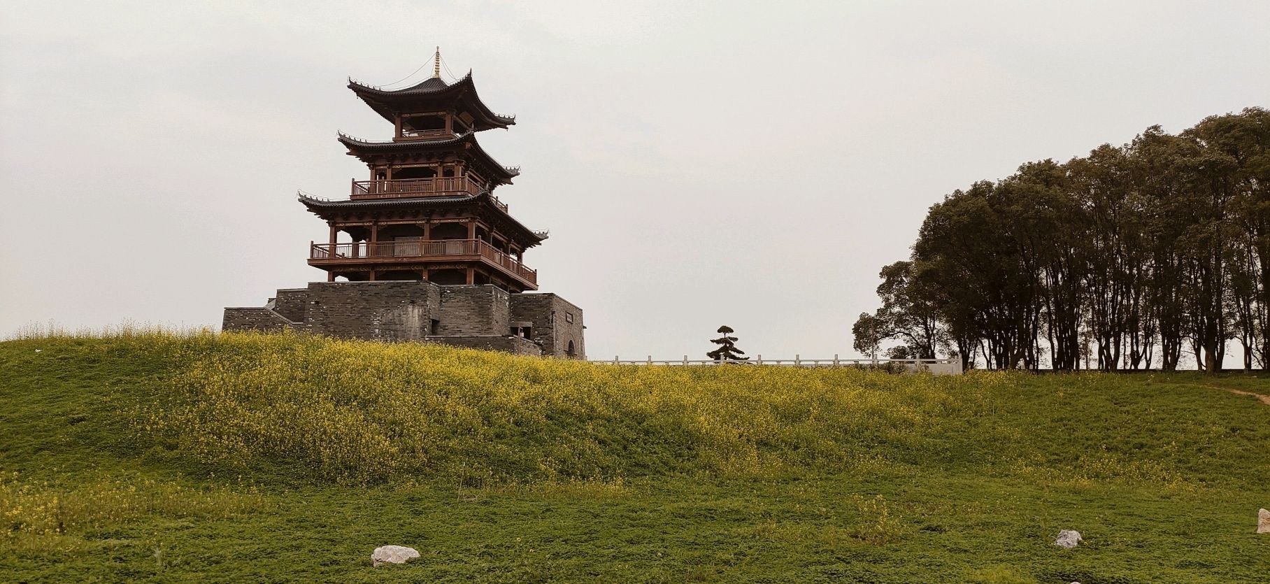 鄱阳湖吴城候鸟小镇景区旅行图片 2