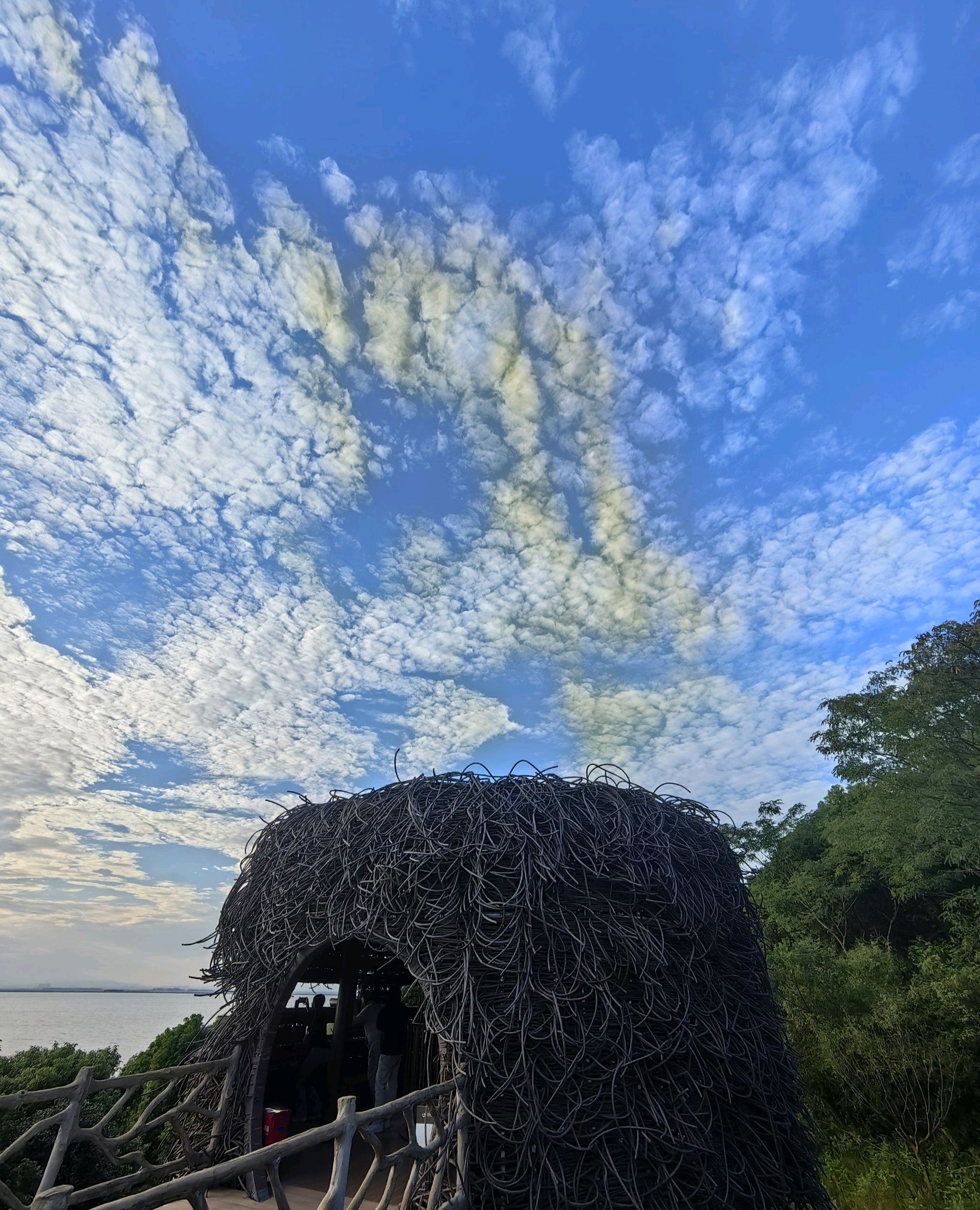 鄱阳湖吴城候鸟小镇景区旅行图片 1