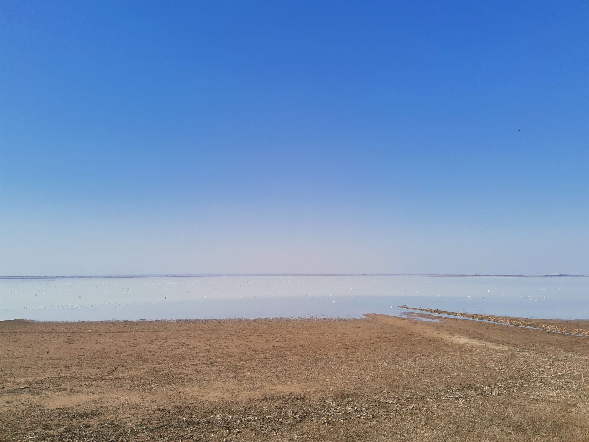 鄱阳湖吴城候鸟小镇景区旅行图片 2