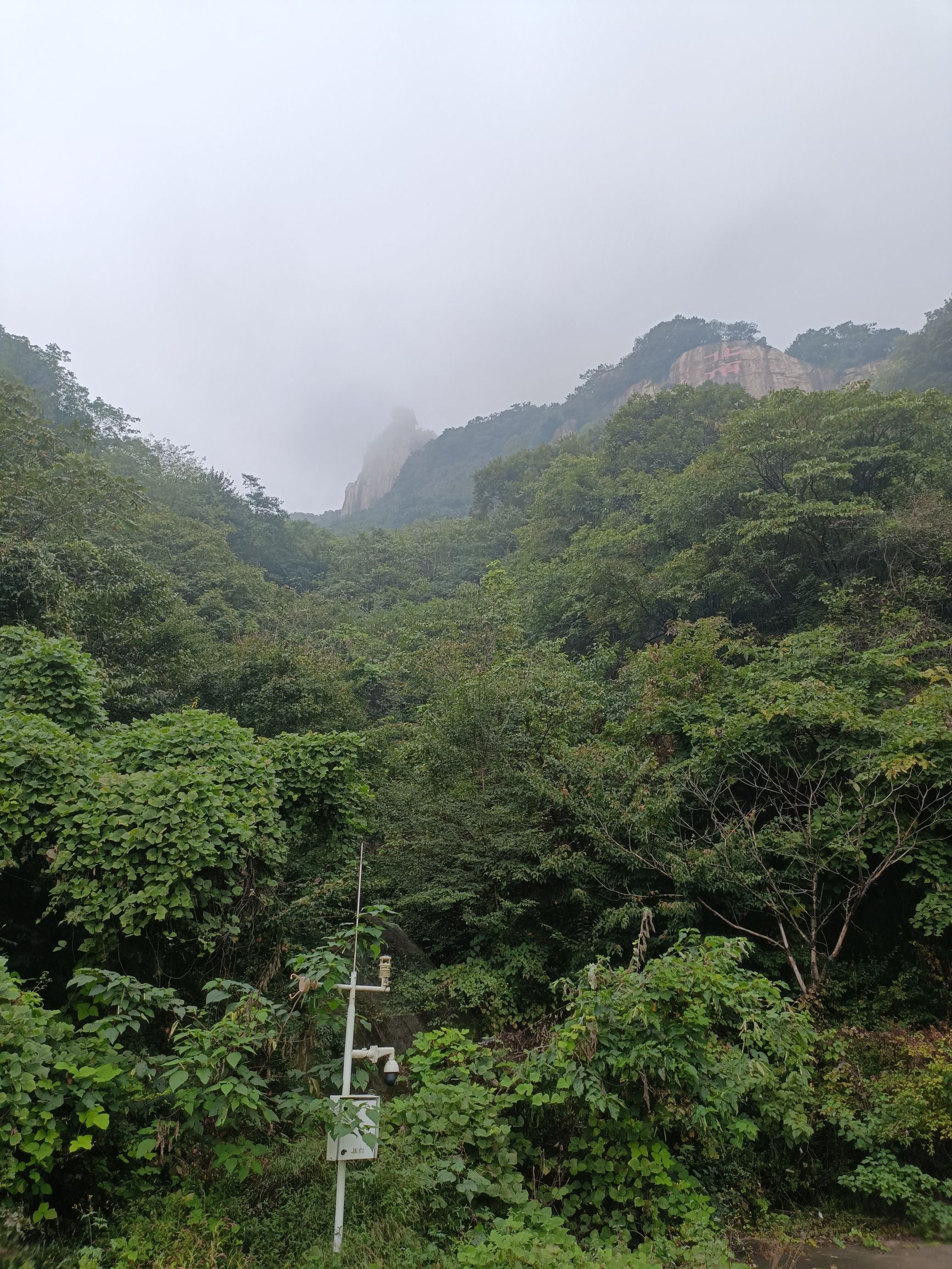 云栖谷景区观景平台旅行图片 1