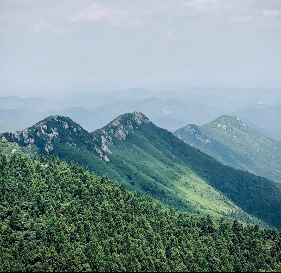 春华亭旅行图片 2