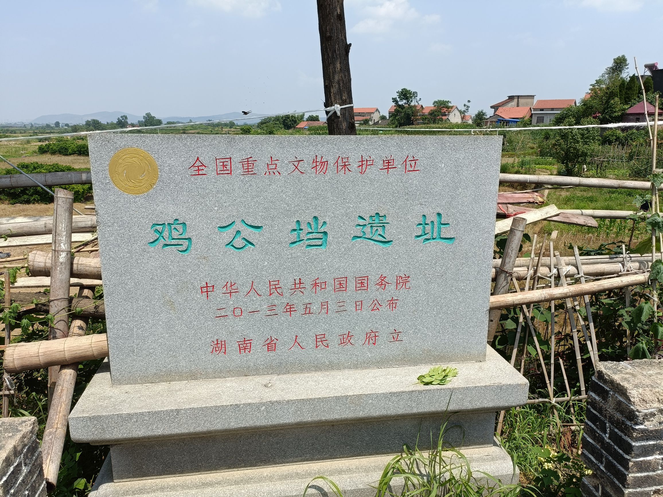 鸡公垱遗址旅行图片 1